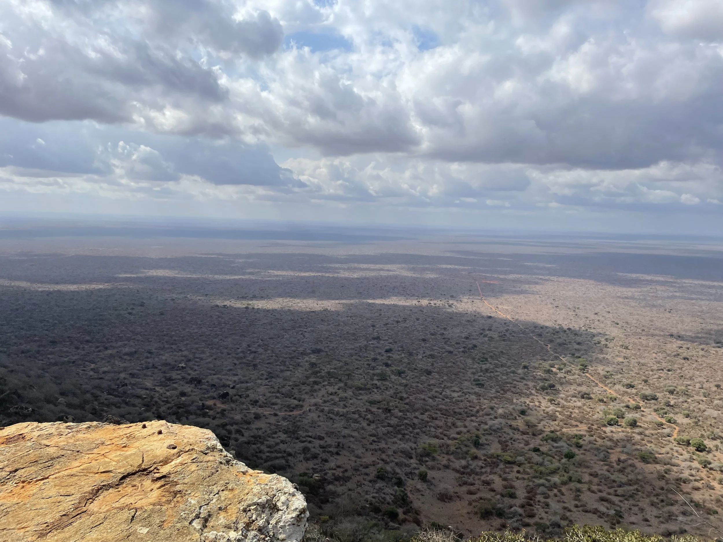 A vast arid landscape stretching to the horizon with sparse vegetation and a cloudy sky overhead.
