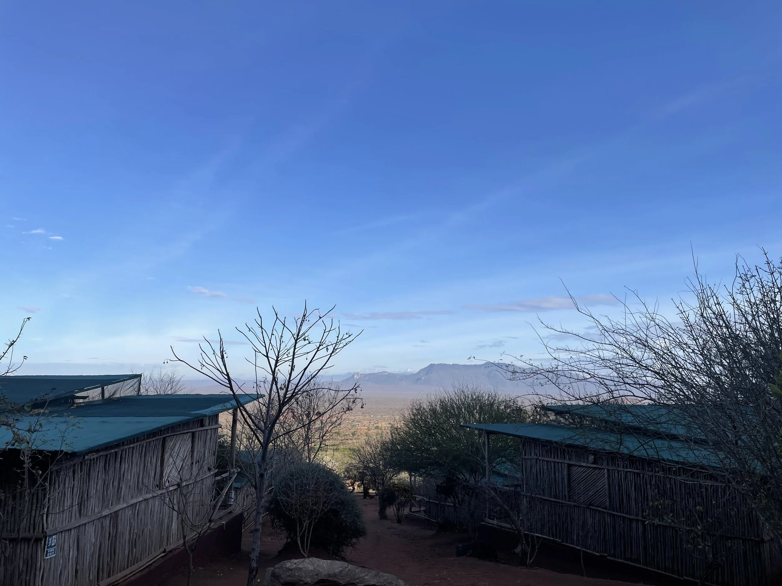 View of a rural landscape with two wooden structures with metal roofs, leafless trees, bushes, a distant mountain range, and a clear blue sky.