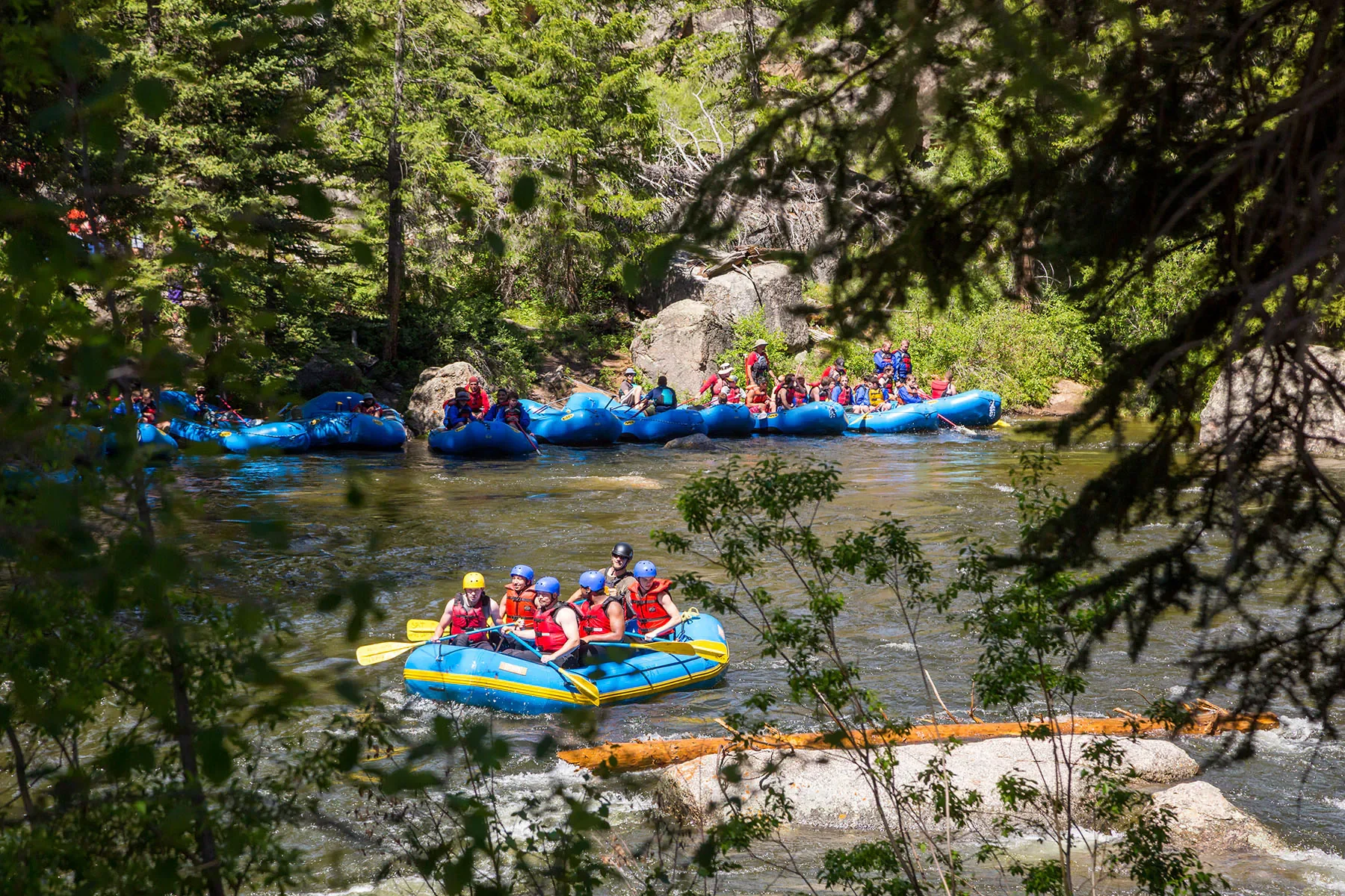 Rafting - Crested Butte.webp