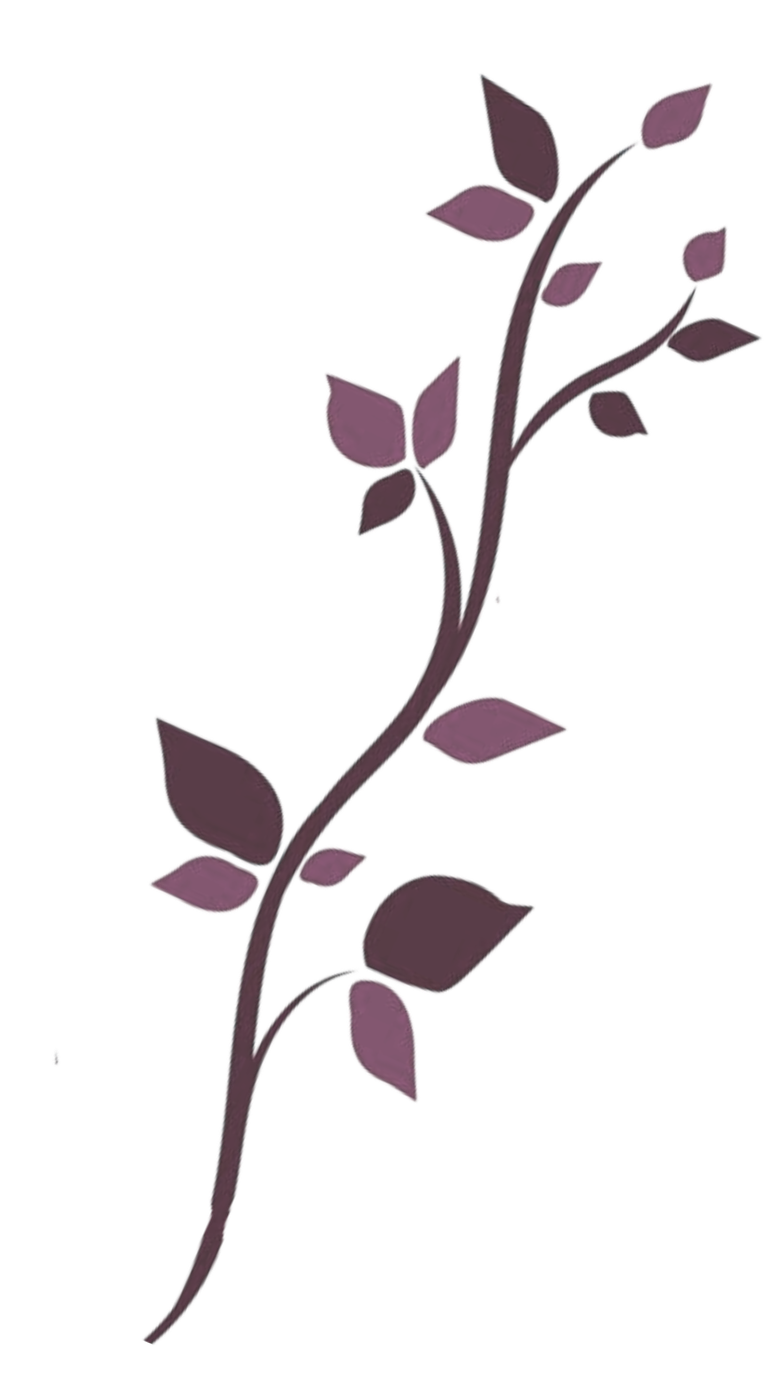 an image of a vine related to the Vellara Strategies logo