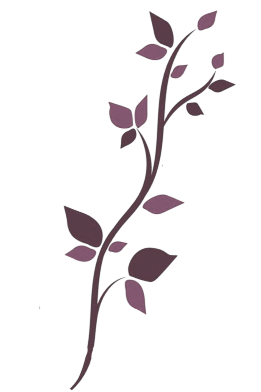 A growing vine related to the Vellara Strategies logo