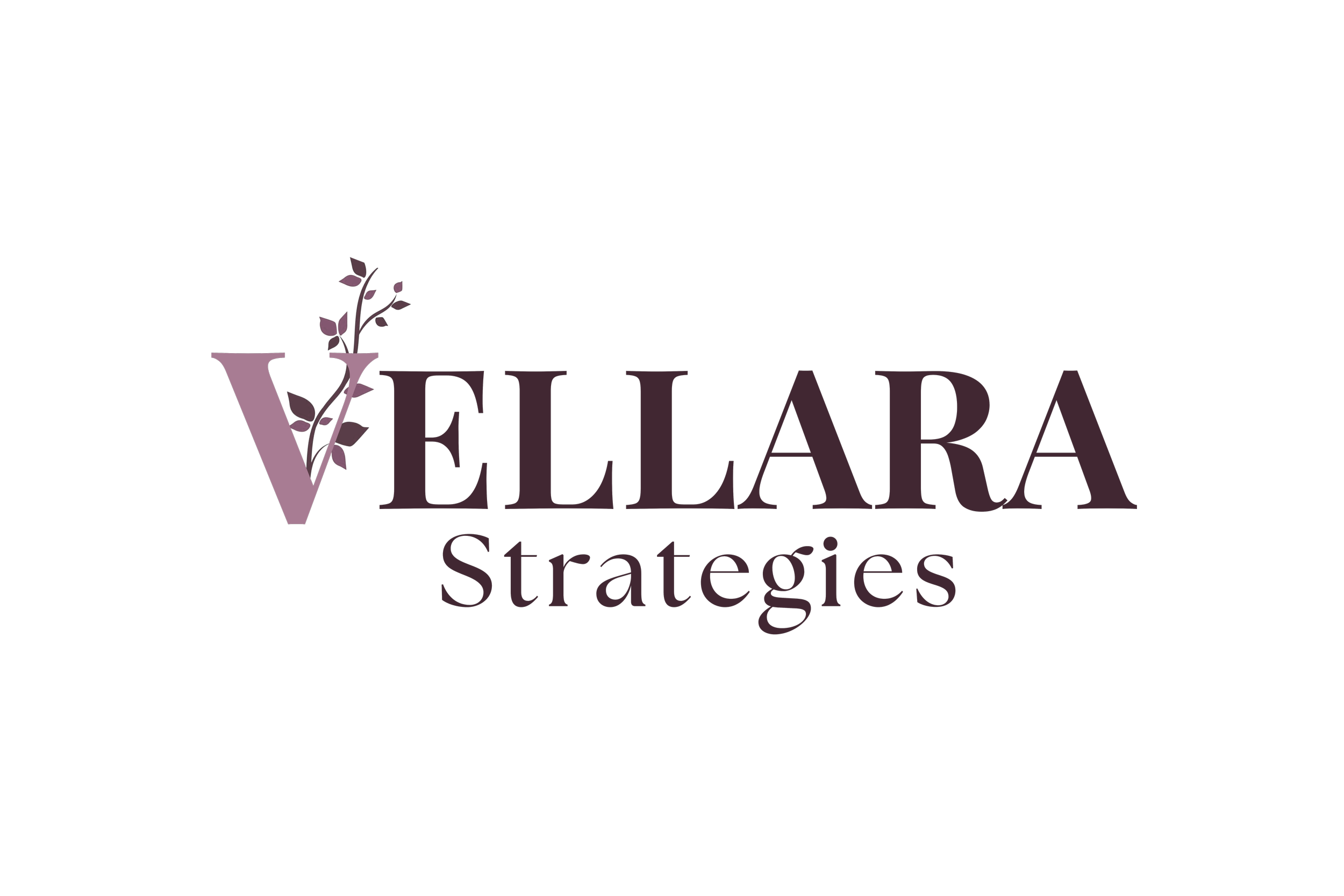 Logo of Vellara Strategies with a stylized leaf and vine graphic.