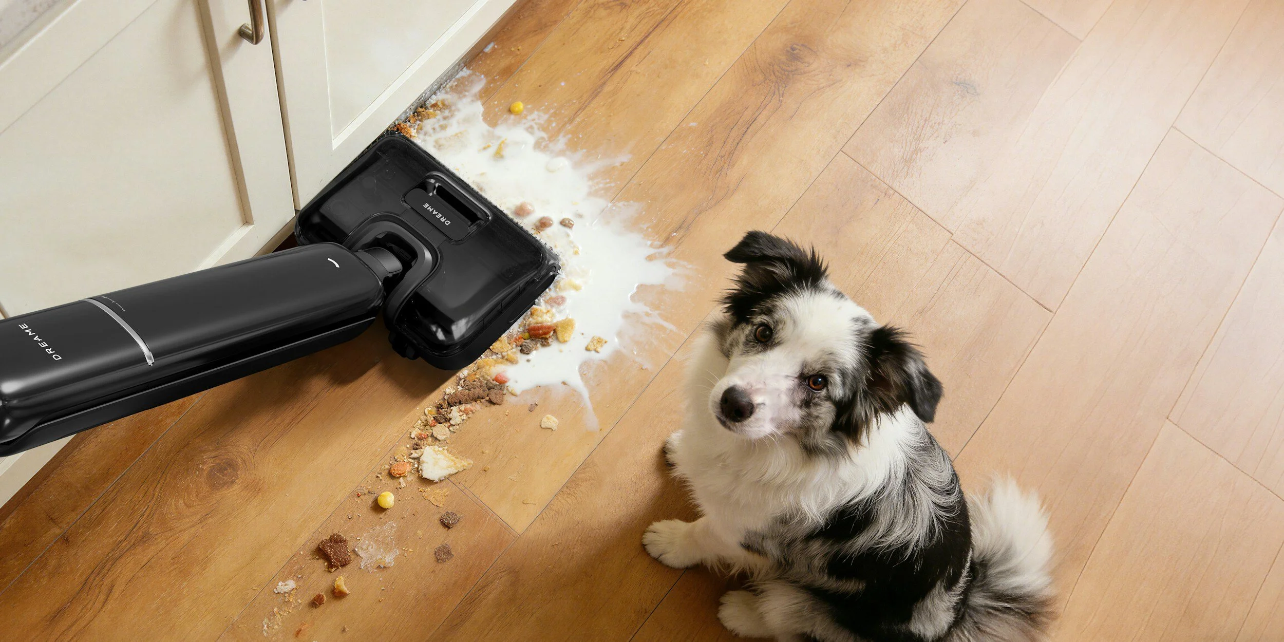 A black vacuum cleaner with a cleaning attachment is on a wooden floor, spilling spilled food and milk. A cute dog with black and white fur looks up at the camera next to the mess.