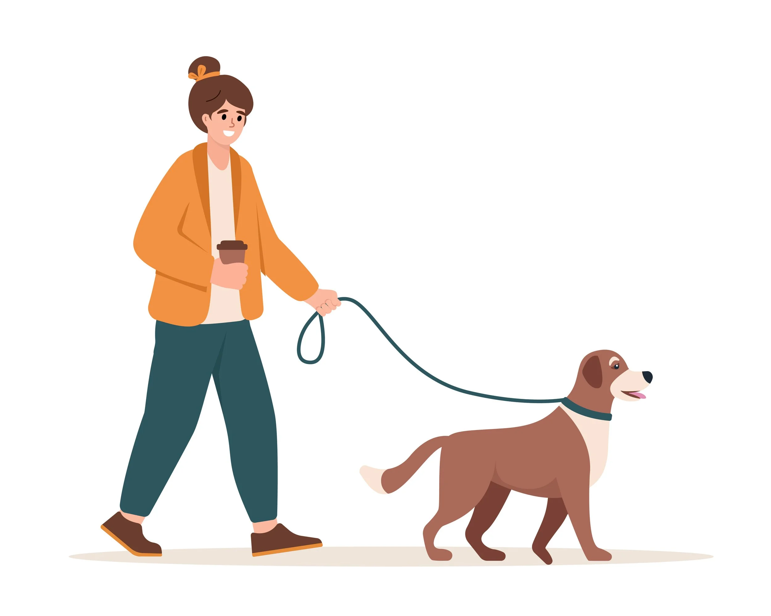 A woman with brown hair is calmly and confidently walking a brown and white dog on a loose leash while holding a coffee cup.