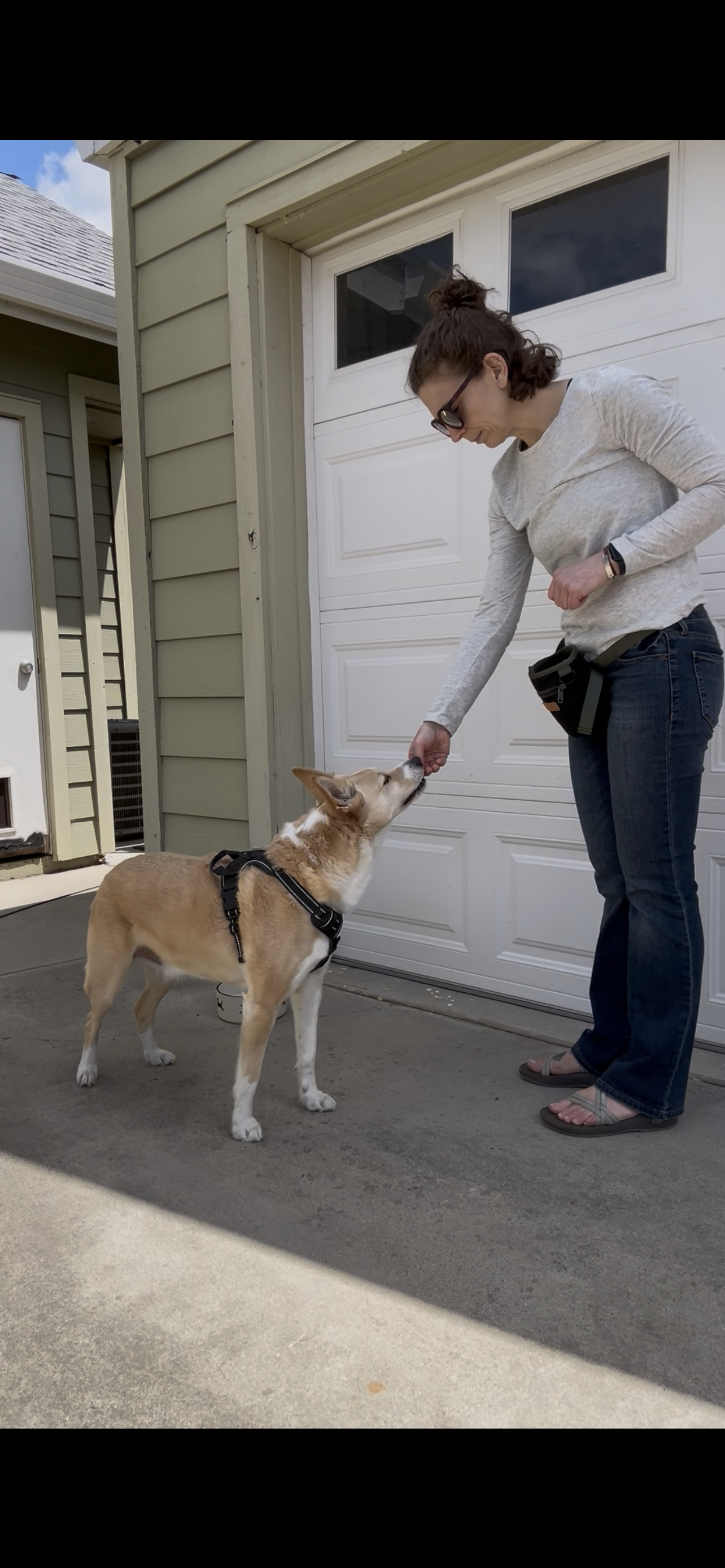 A woman in glasses and casual clothing feeding a small dog with a harness on a concrete driveway in front of a garage door.