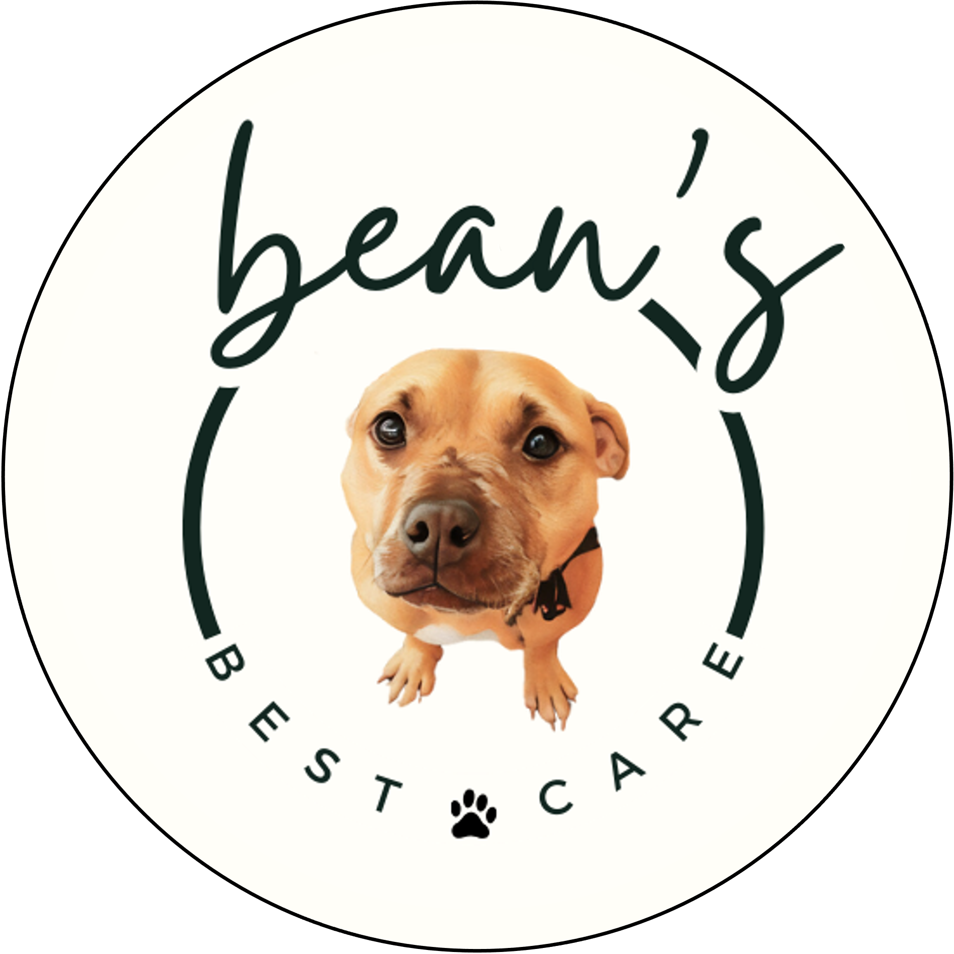 A logo featuring a cute puppy's face in the center, with the words Bean's Best Care above it and surrounded by a circle and paw prints.