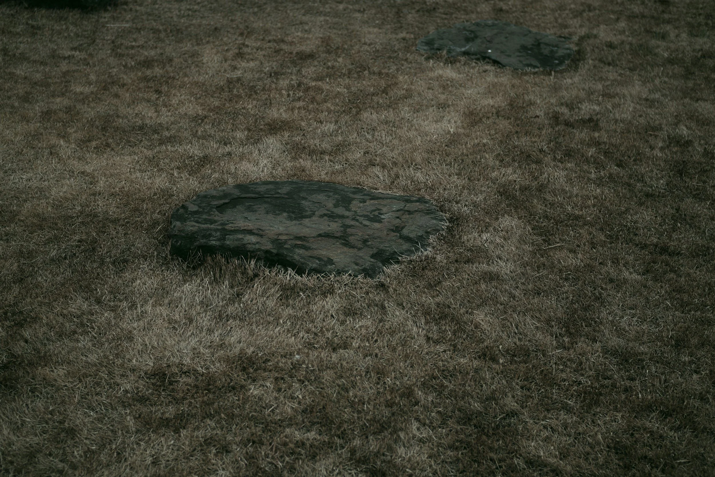 Two dark, flat rocks embedded in dry, brown grass field.