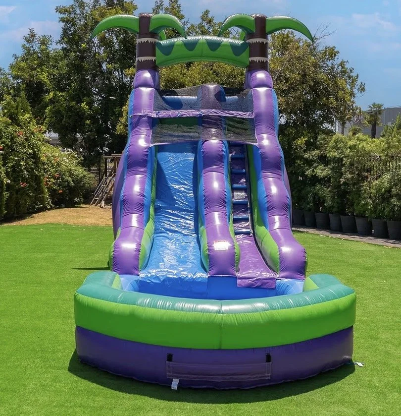 16' X 25' Tropical Inflatable Waterslide with Attached Pool