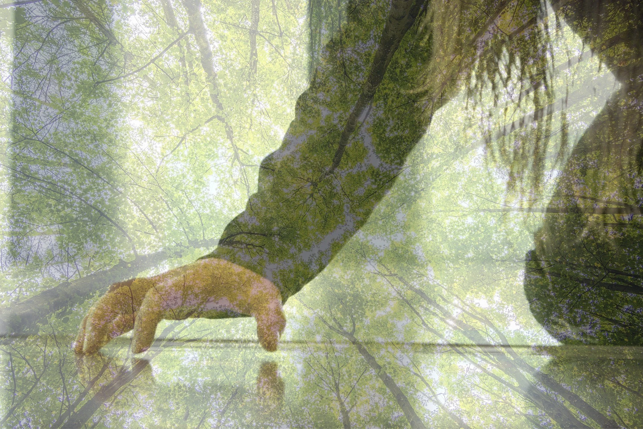 image_6483441 (2).JPG