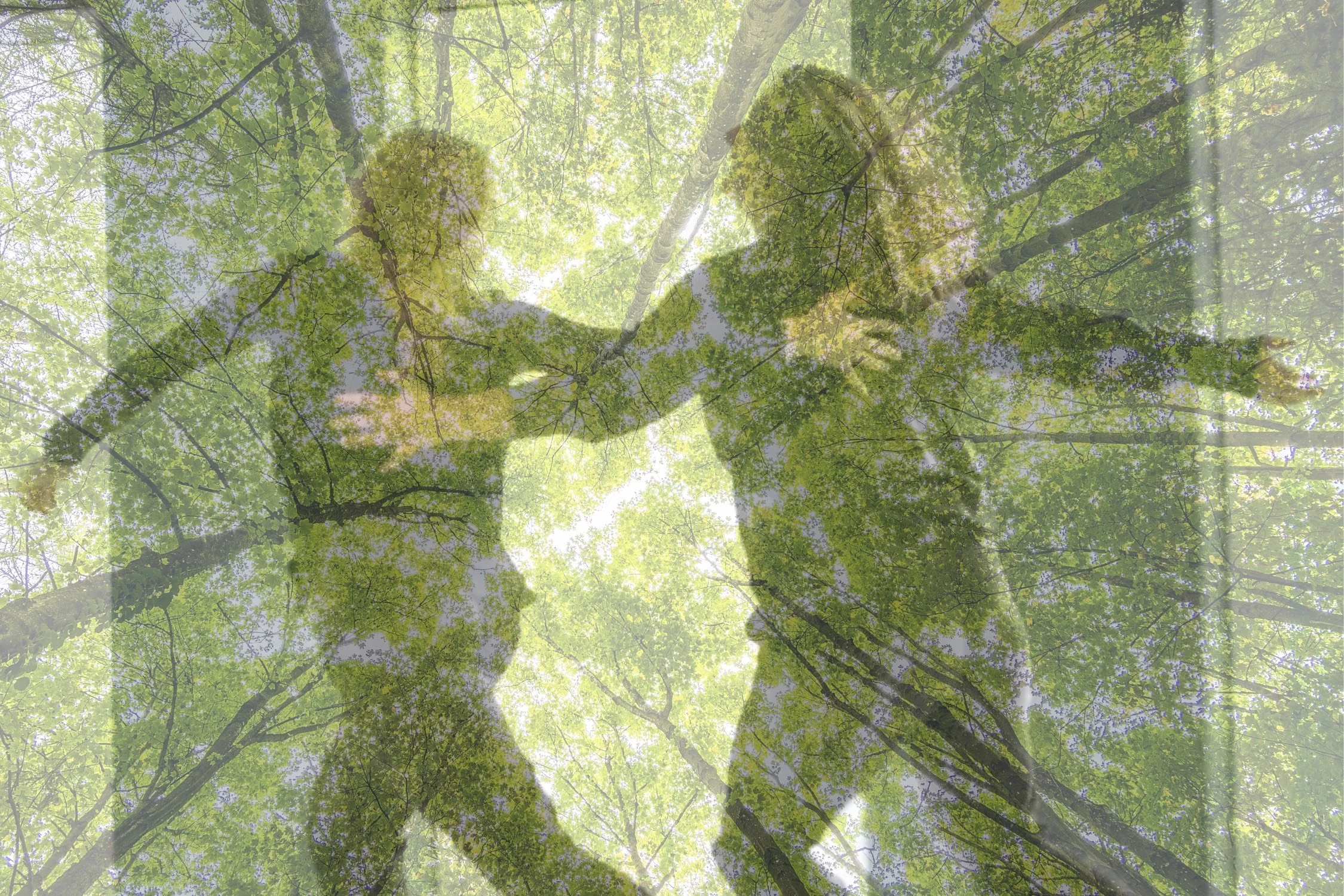 image_6483441 (3).JPG