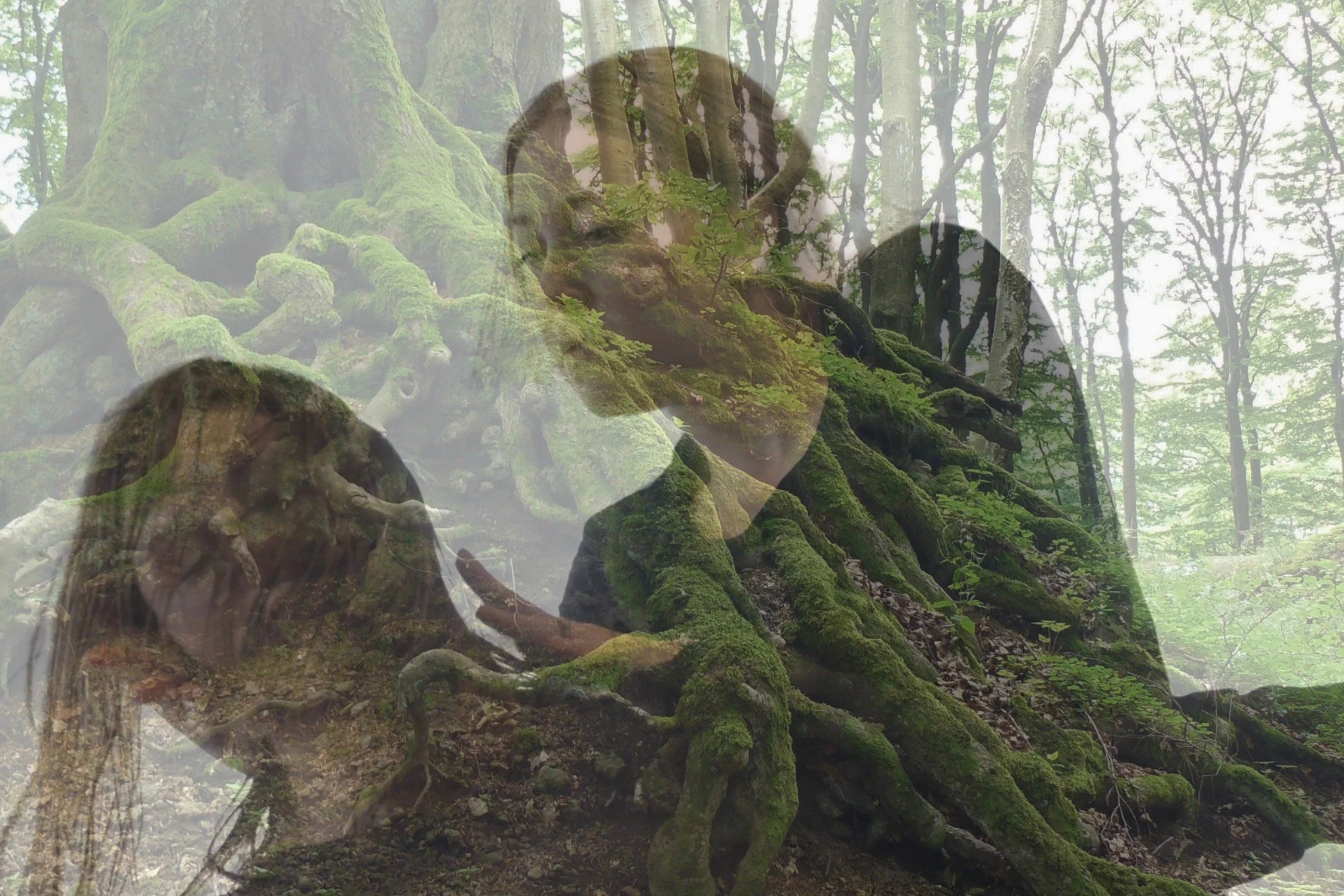 image_6483441 (1).JPG