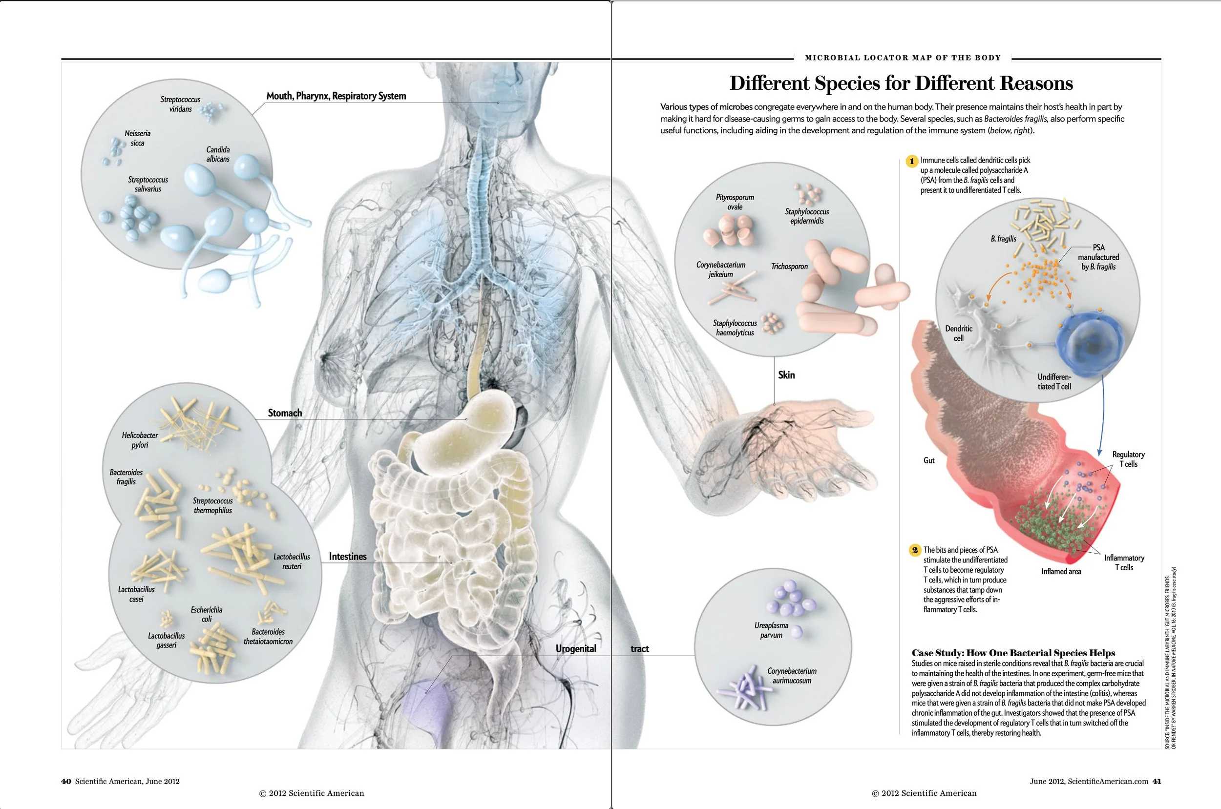 microbiome.jpg