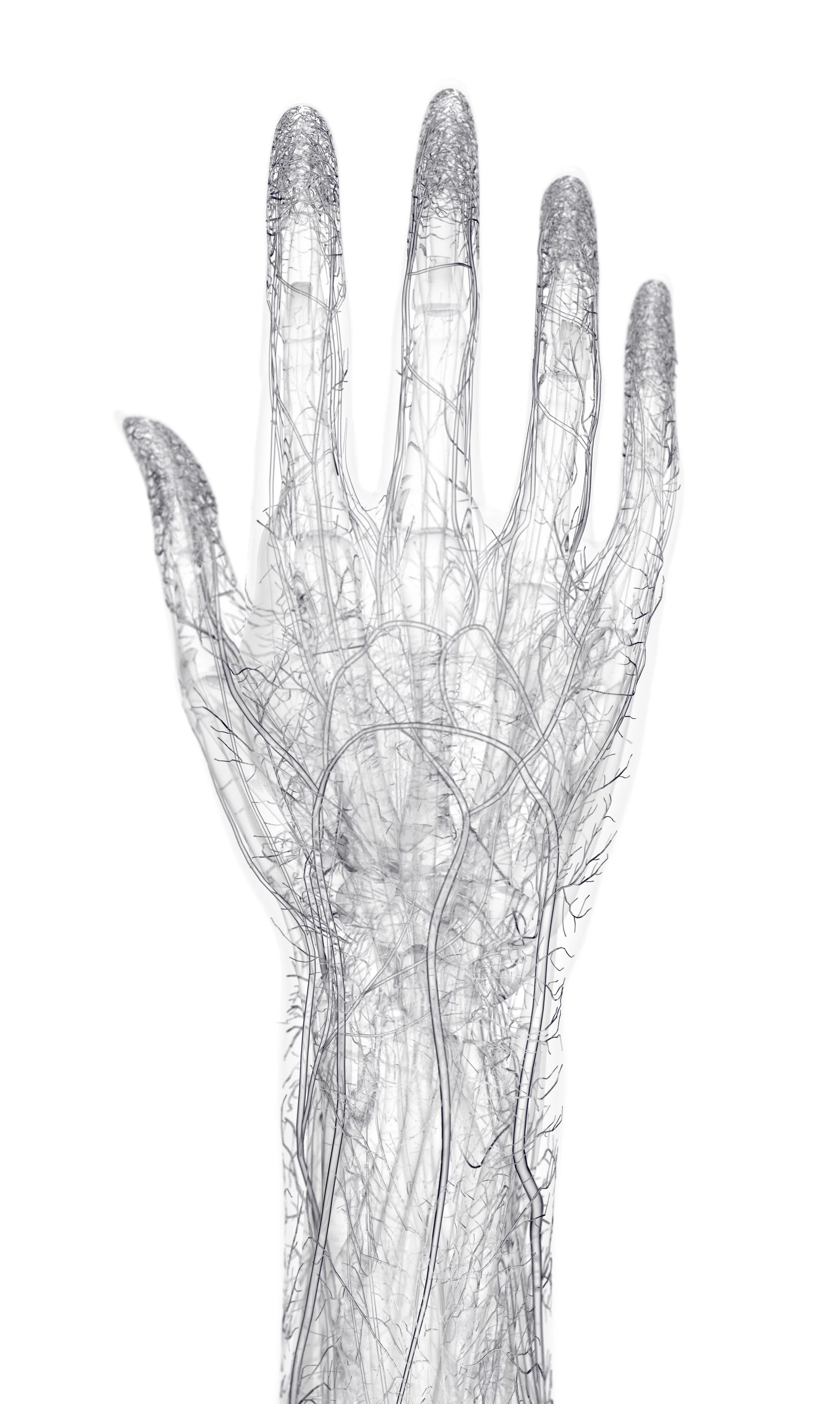 white_hand.jpg