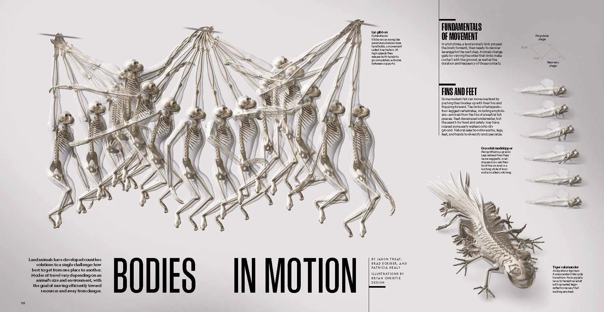 National Geographic - Best Illustrated Story.jpeg
