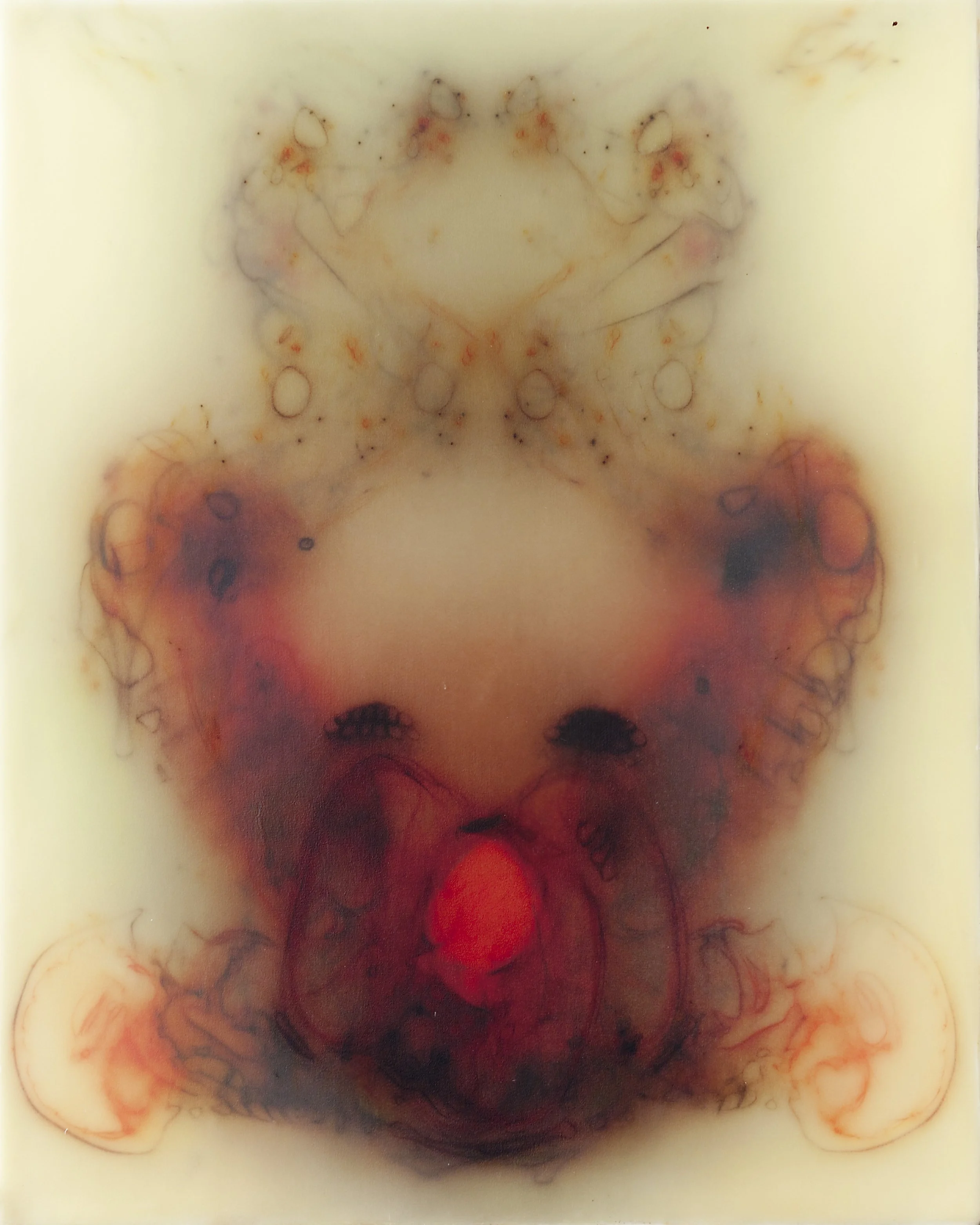 bchristie_60x48_silk&encausticonpanel_2014.jpg