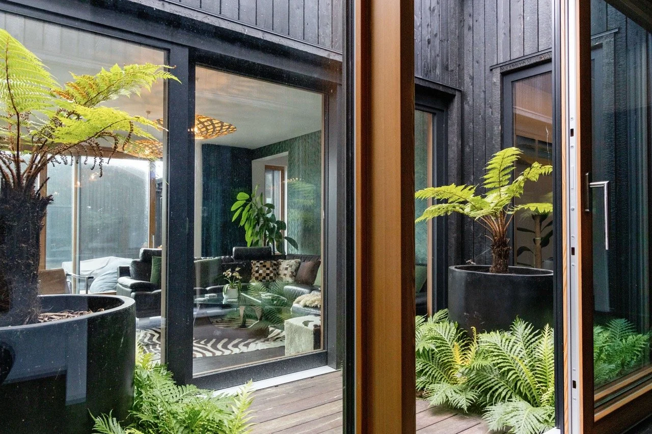 View through glass sliding doors of a modern indoor living room with dark walls, a couch, plants, and a zebra-patterned rug, with an outdoor patio area featuring large potted ferns.
