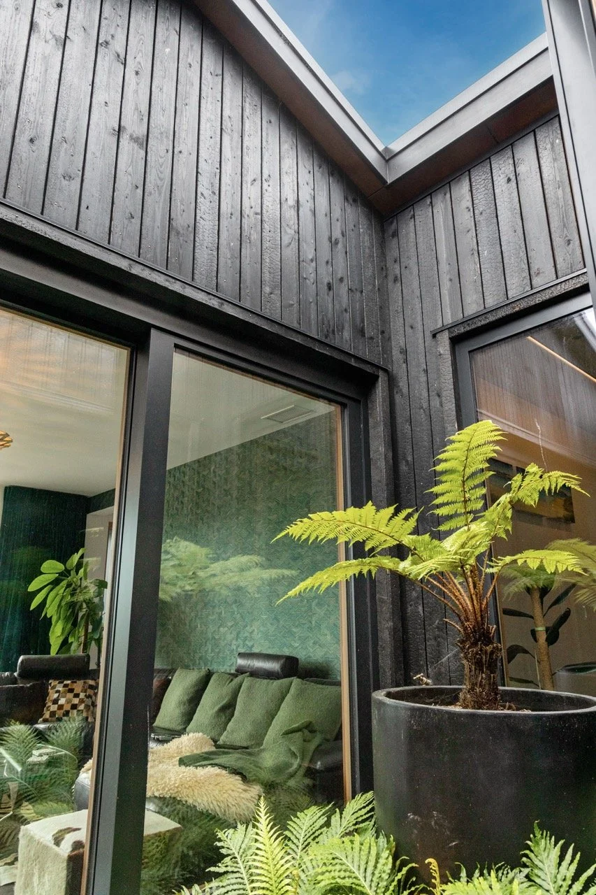 Exterior view of a modern house with black wooden siding and large glass windows. A skylight from the roof is visible. There are lush green potted plants outside, including a tall fern in a black pot.