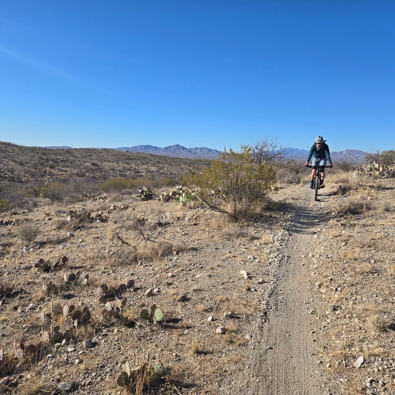 McKenzie Rach this Sunday.  Meet at the Gabe Zimmerman trailhead by 7:00 AM. What bike will you bring this weekend?
