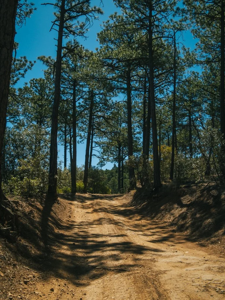 _CVD0880.jpg