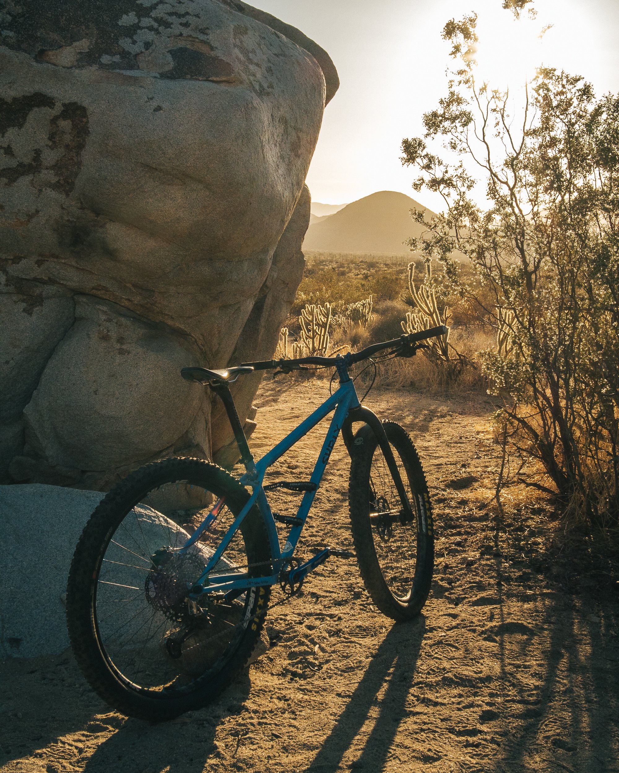 Blue mountain bike leaning against a large rock in a desert landscape at sunset with cacti and bushes in the background.