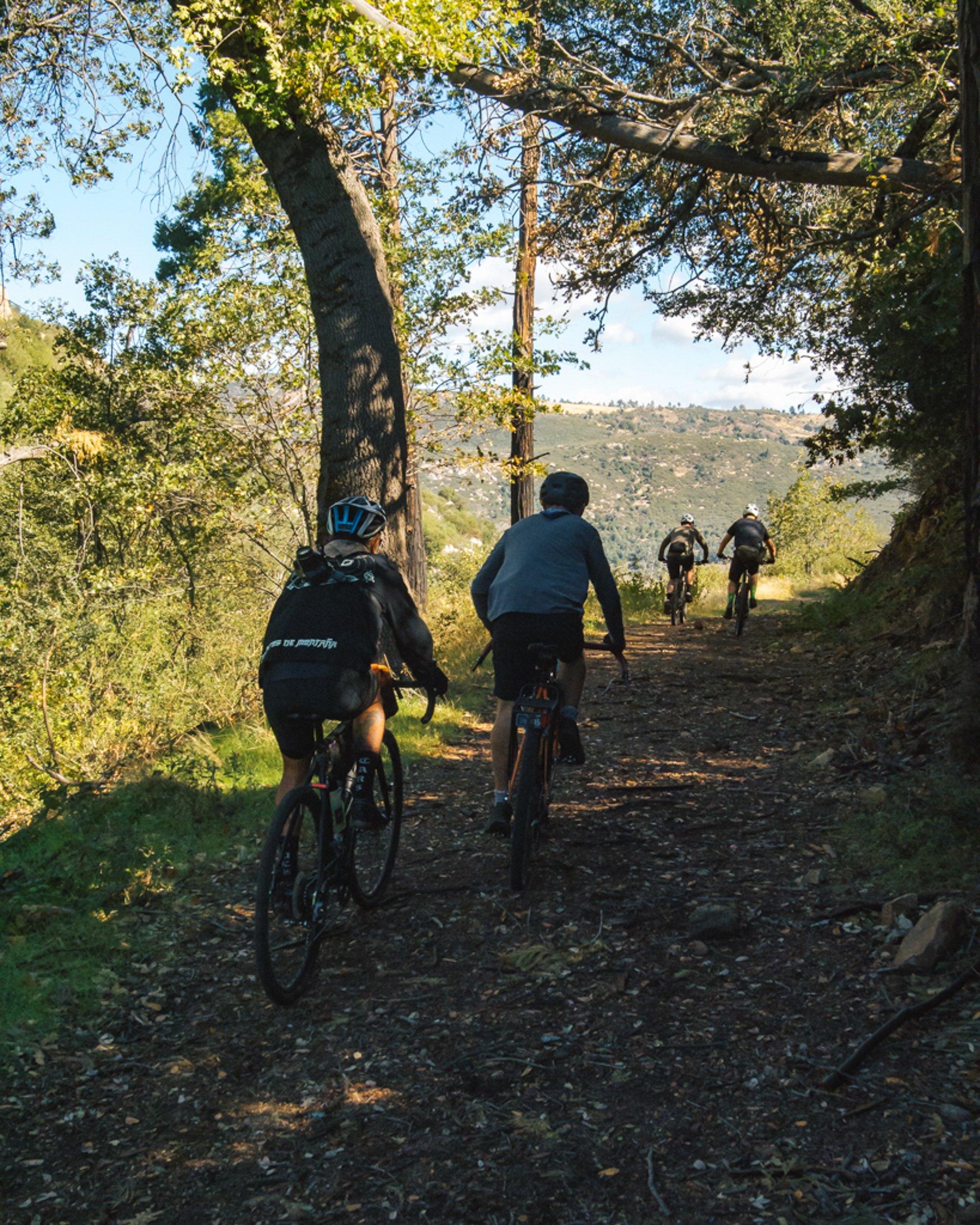 Four people mountain biking on a forest trail with trees and hills in the background.