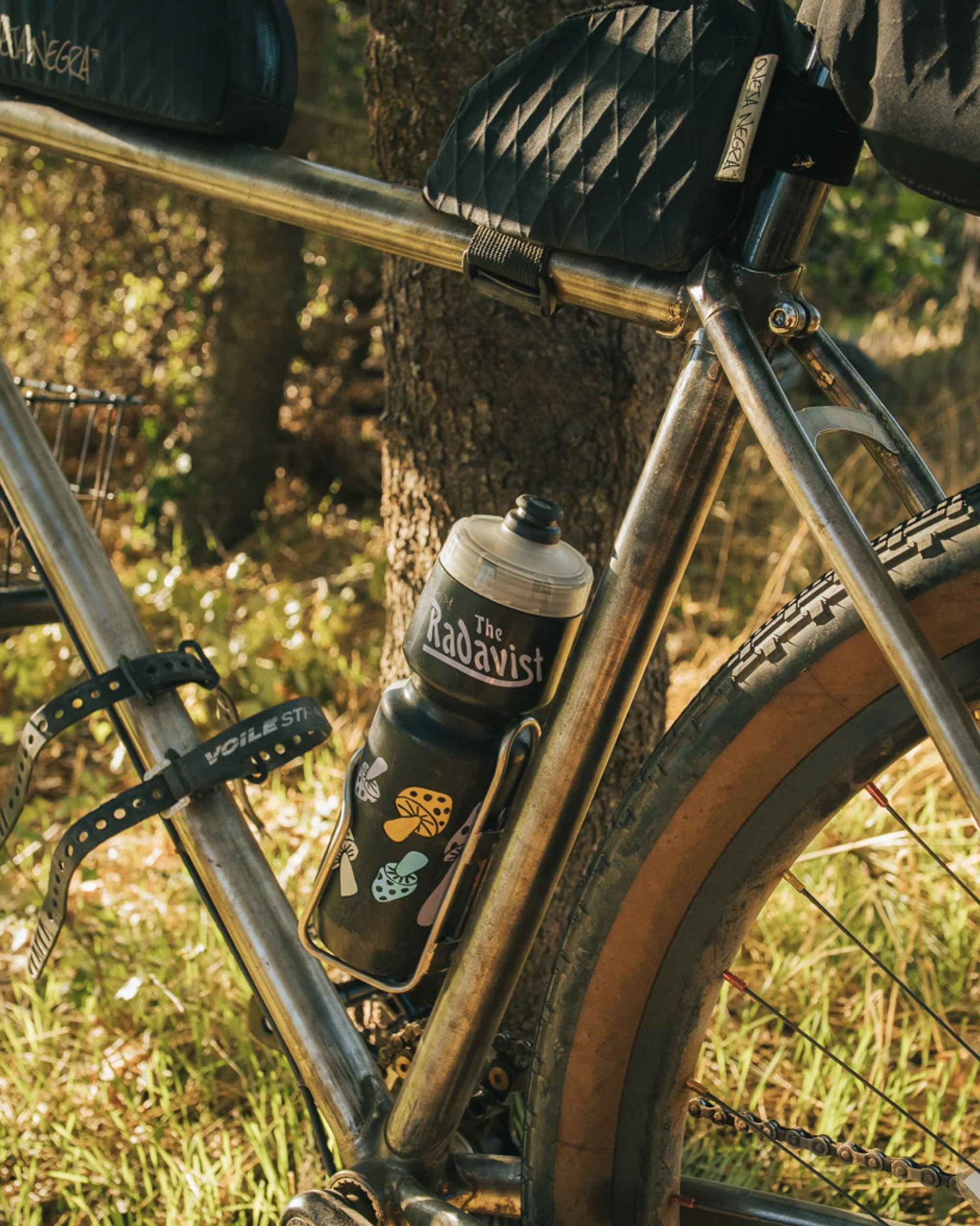 A bicycle with a water bottle holder containing two bottles, one labeled 'The Radavist', parked against a tree in a forested area with grass and trees in the background.