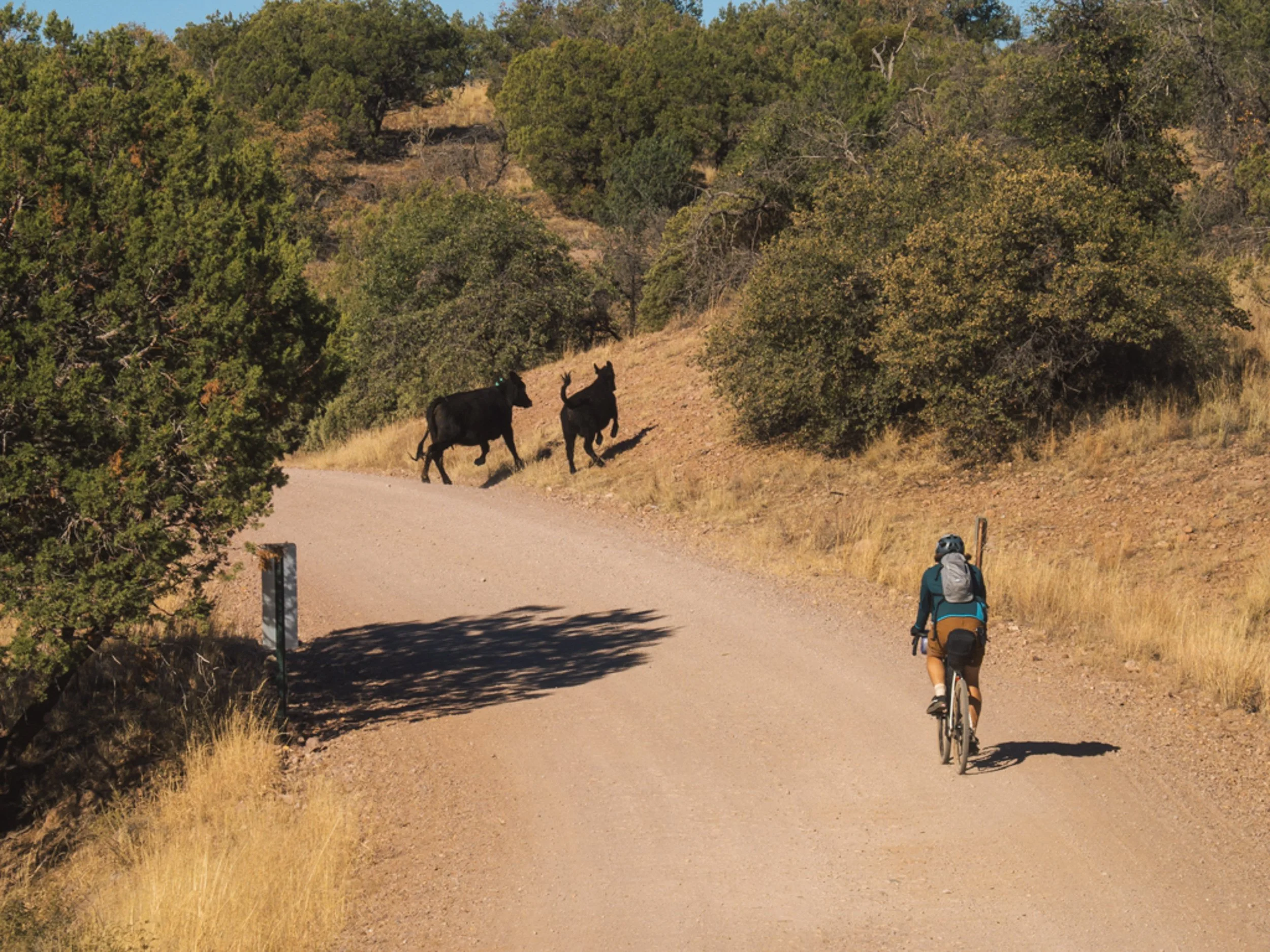 Happy Jack Overnighter Feb 28th-Mar 1st (2 Days)