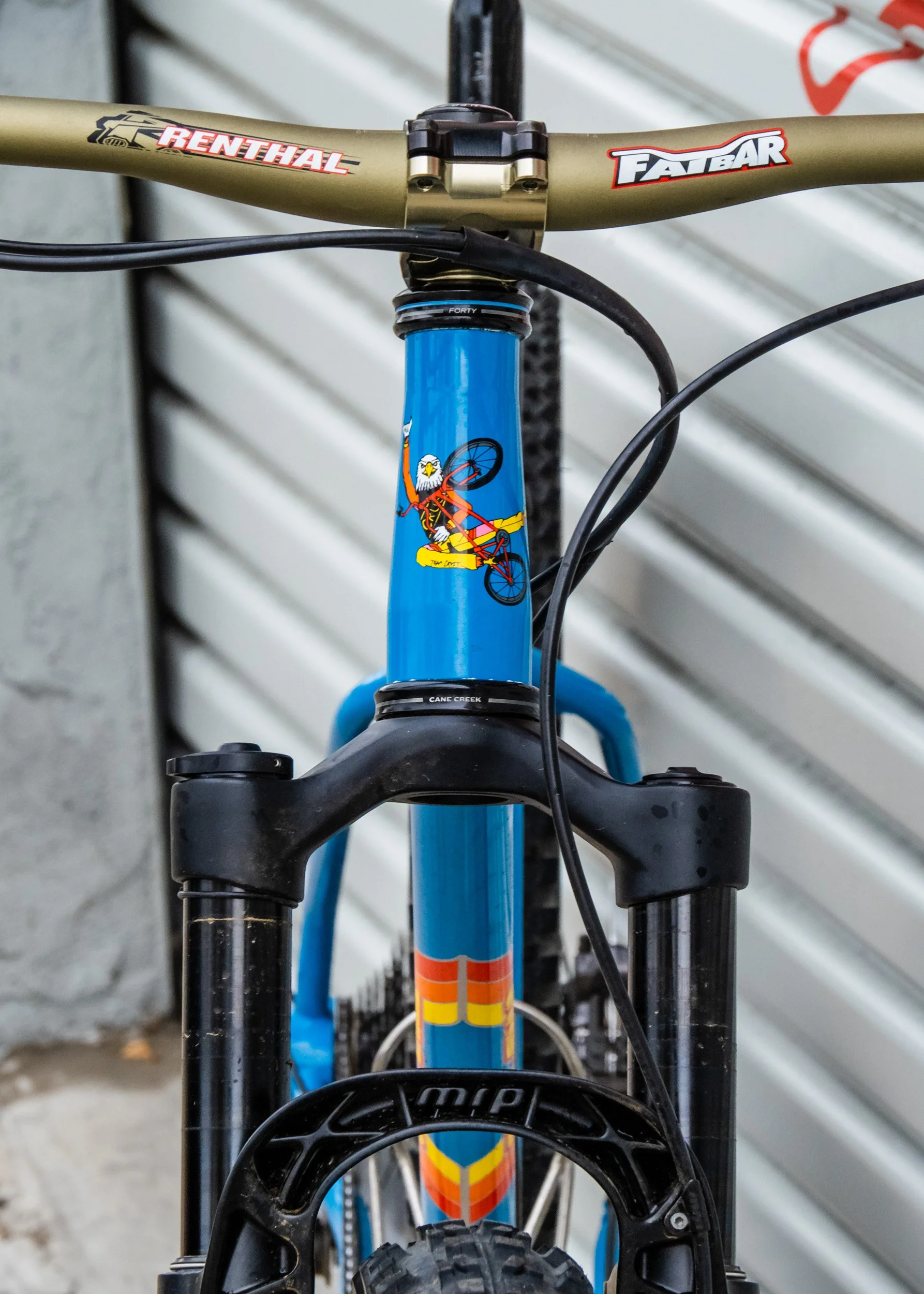 Front view of a blue mountain bike with a cartoon eagle riding a bicycle on the frame, taken indoors or in a garage with a metal shutter in the background.