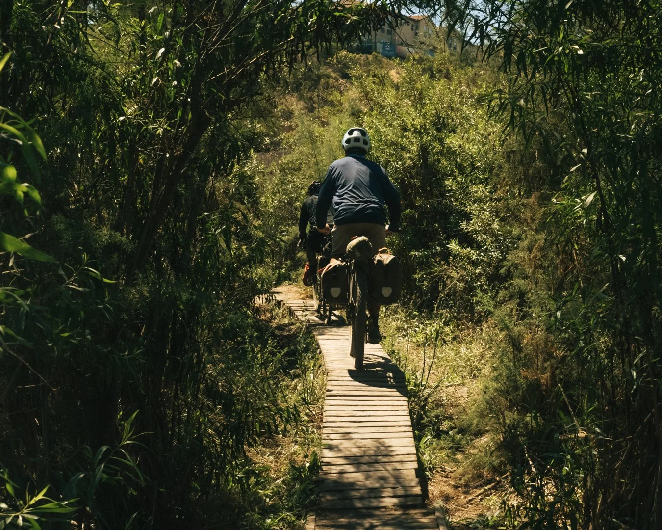 Two cyclists riding on a narrow wooden trail through dense green trees and bushes during daytime.