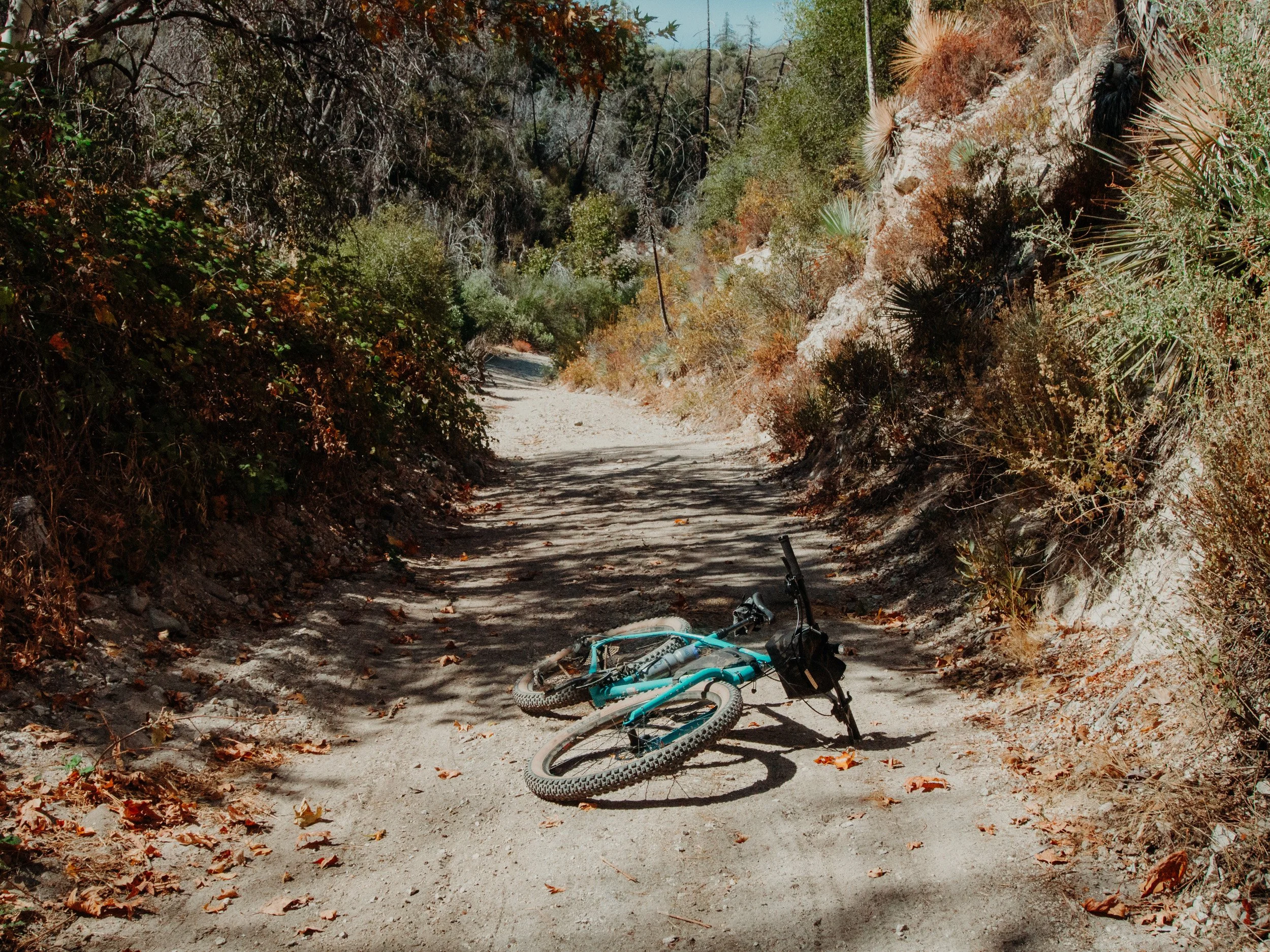 A fallen blue mountain bike lying on a dirt trail surrounded by dry bushes and trees.