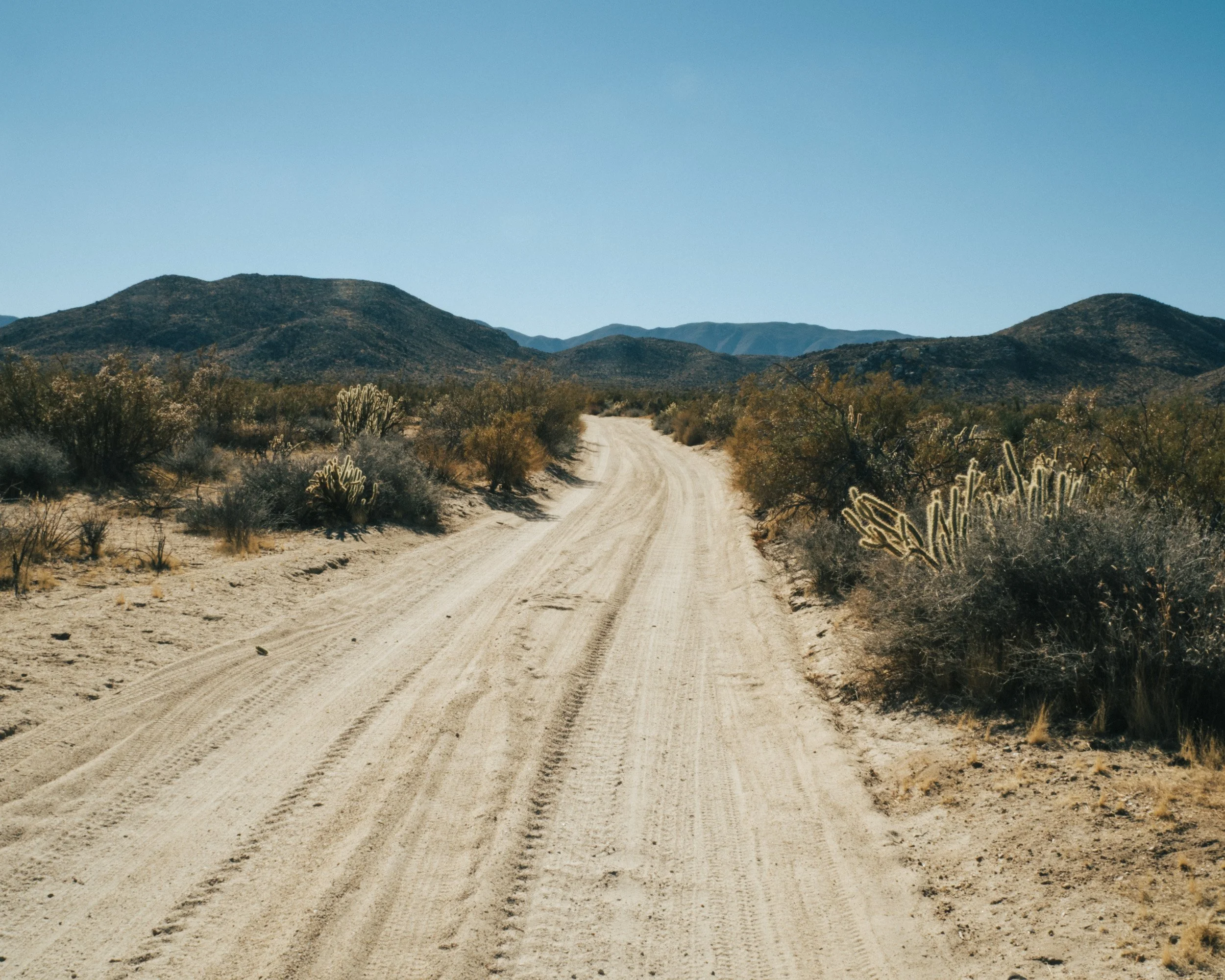 A dirt road running through a desert landscape with mountains in the background and cacti and bushes on either side under a clear blue sky.