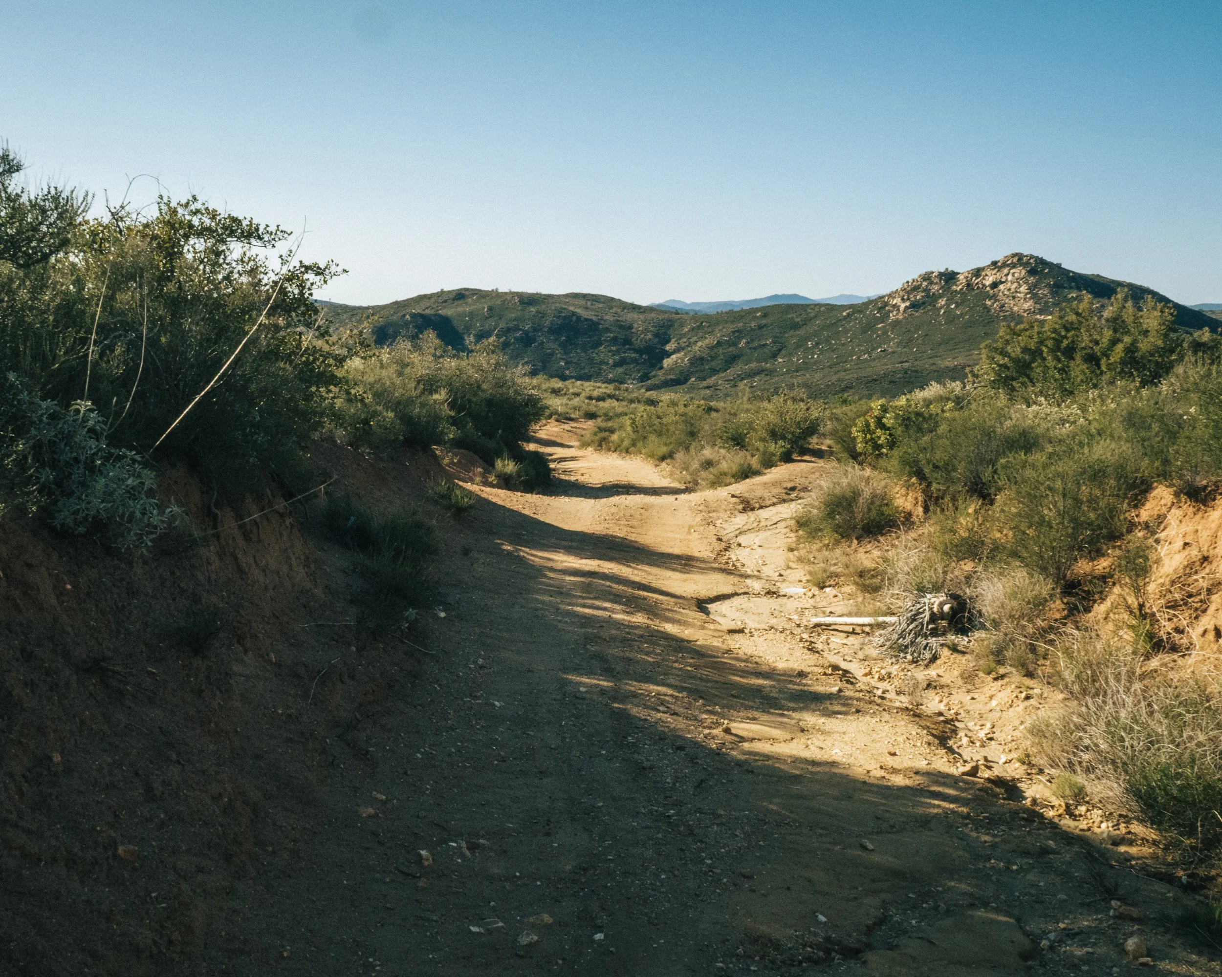 Dirt trail winding through a desert landscape with sparse shrubs and hills in the background and a clear blue sky.