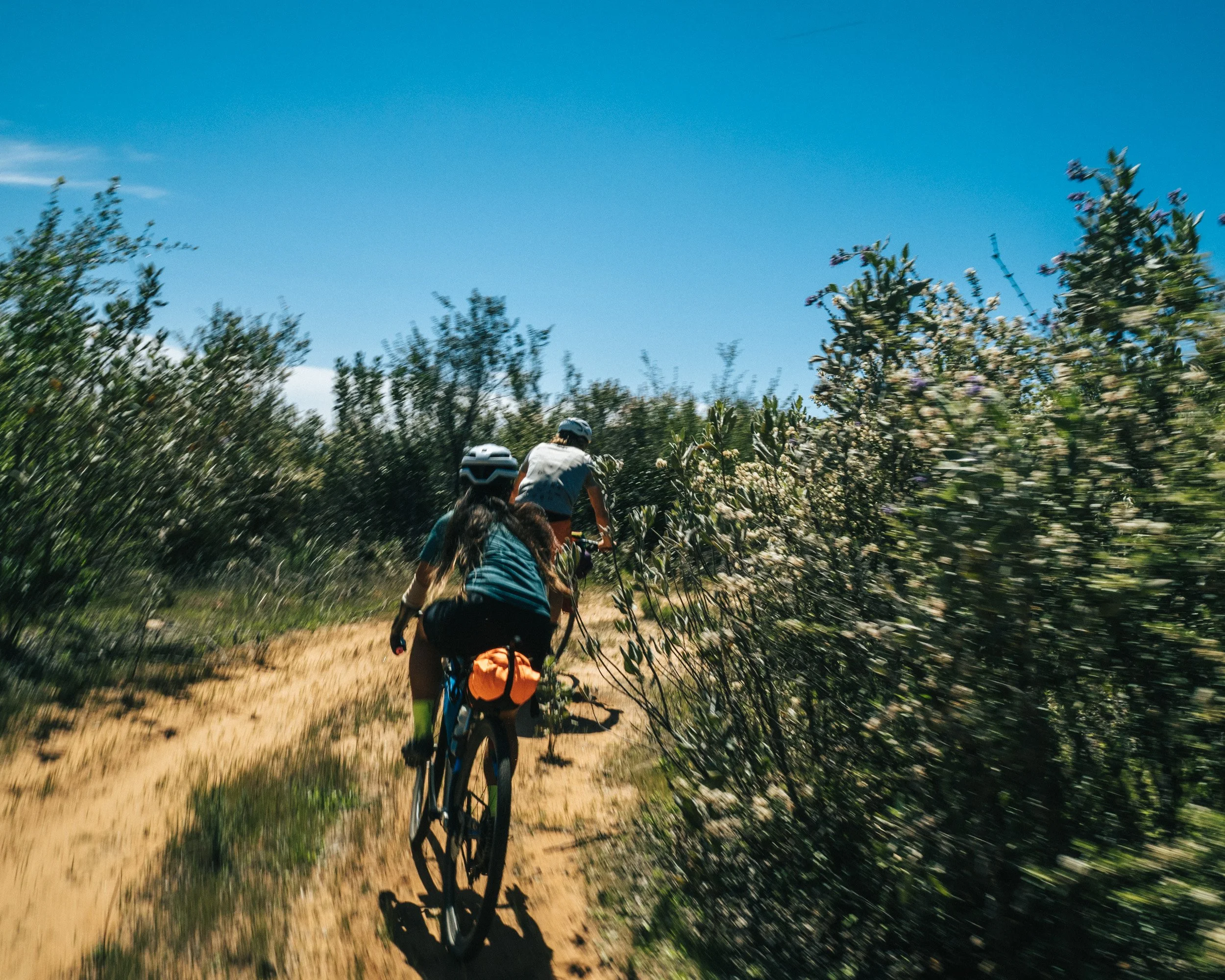 Two people riding mountain bikes on a dirt trail through bushes under a clear blue sky.