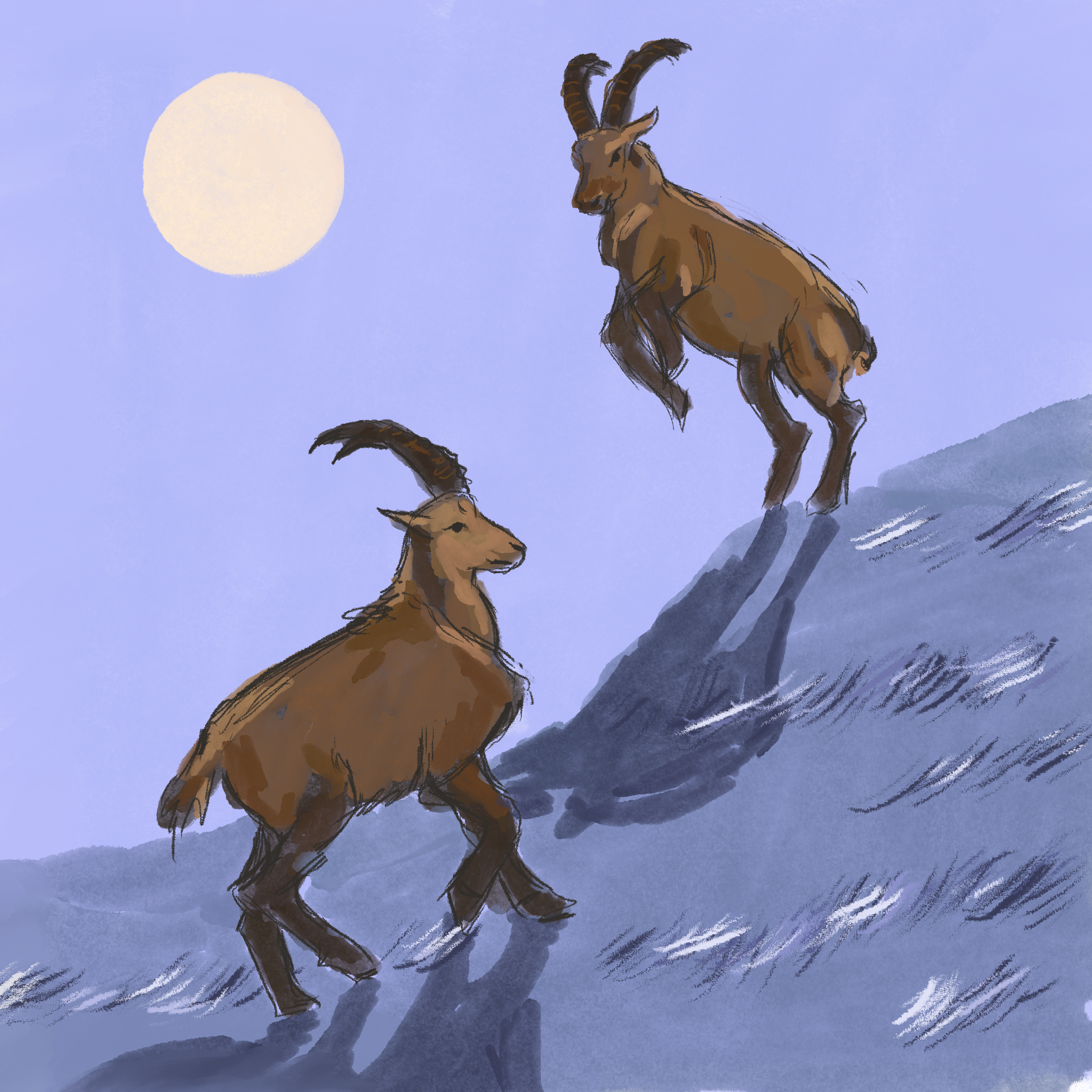 2 ibex.png