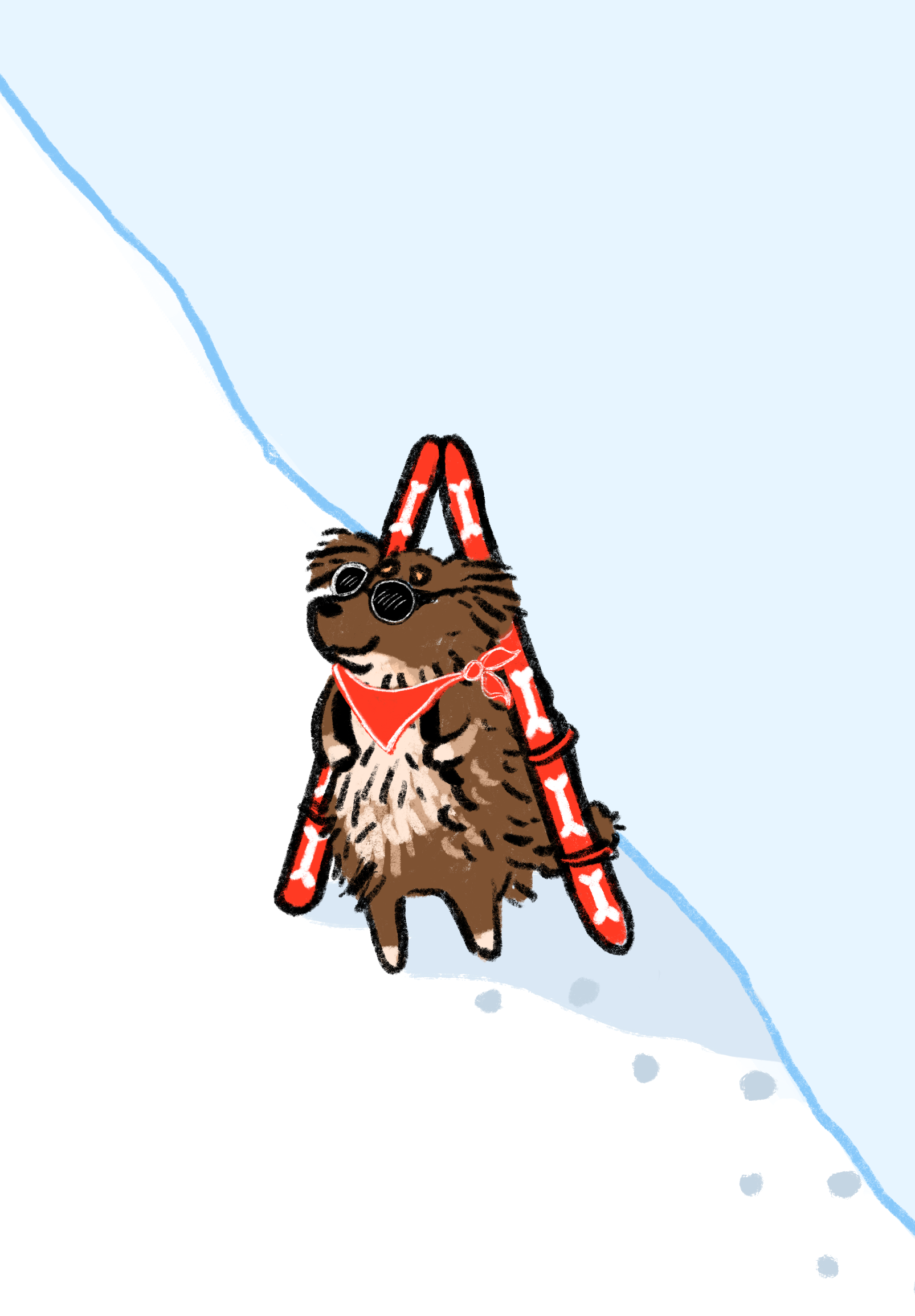 backcountry bumi a frame.png