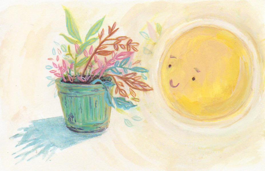 morning plant sun.png