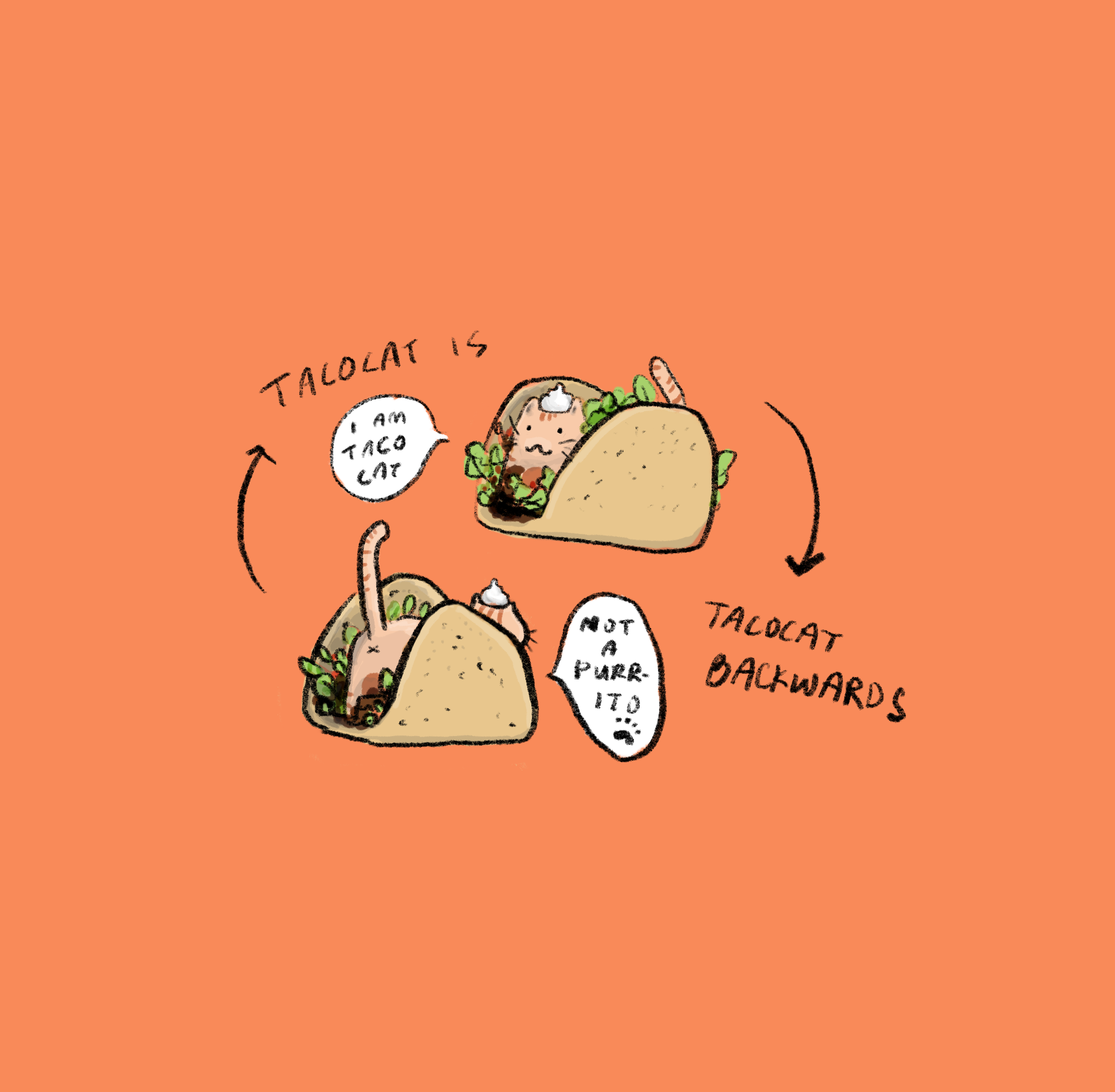tacocat.png
