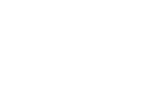 logo-vfw.png