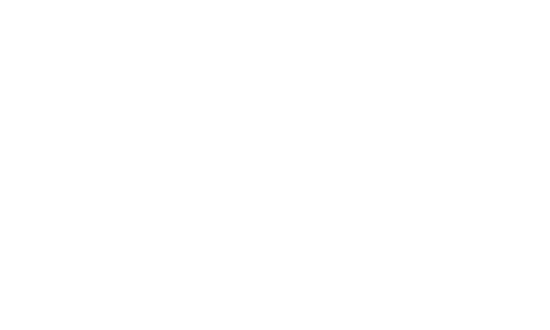 logo-wiseguys.png