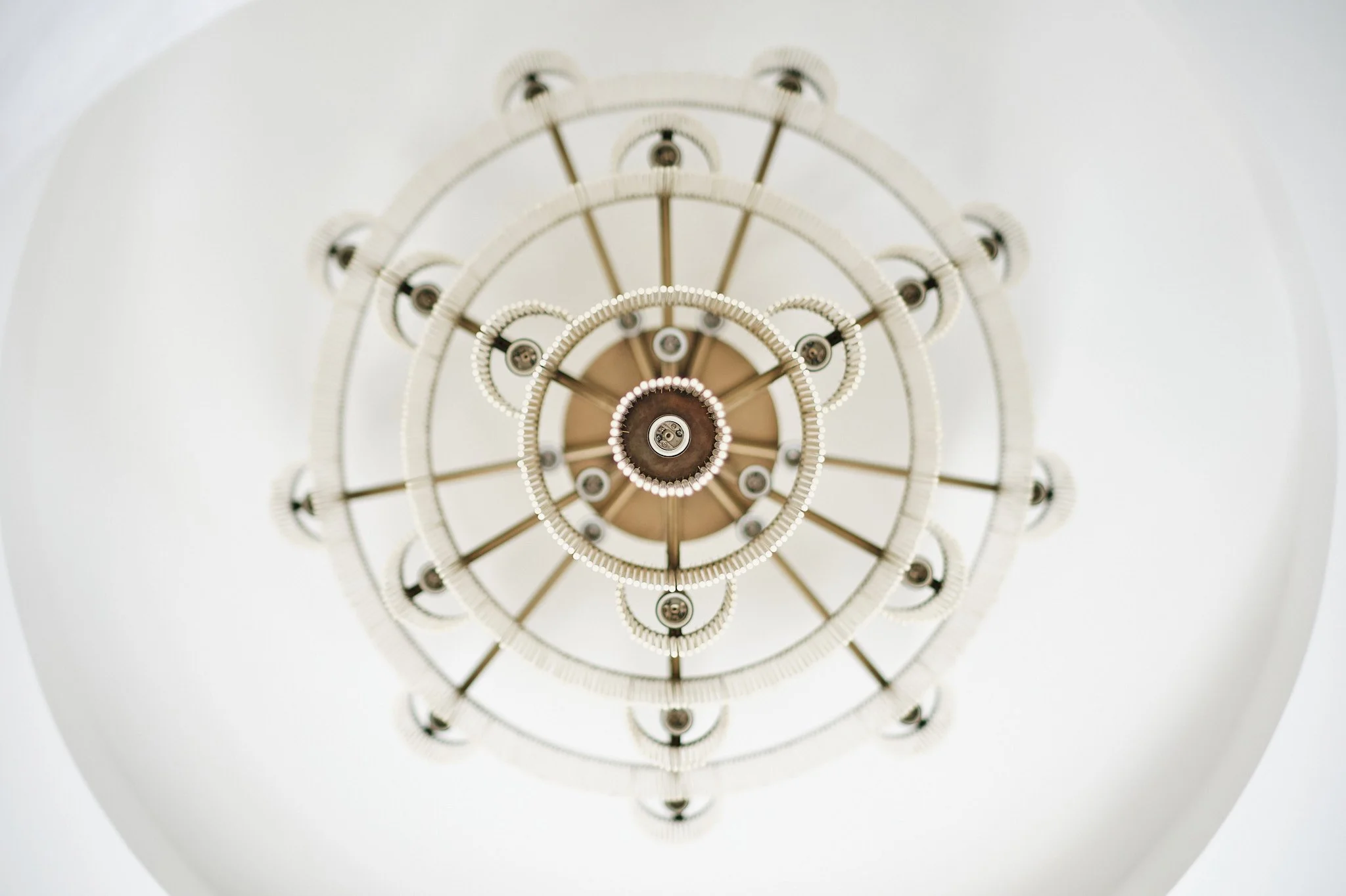 Aurea1 - underside.jpg