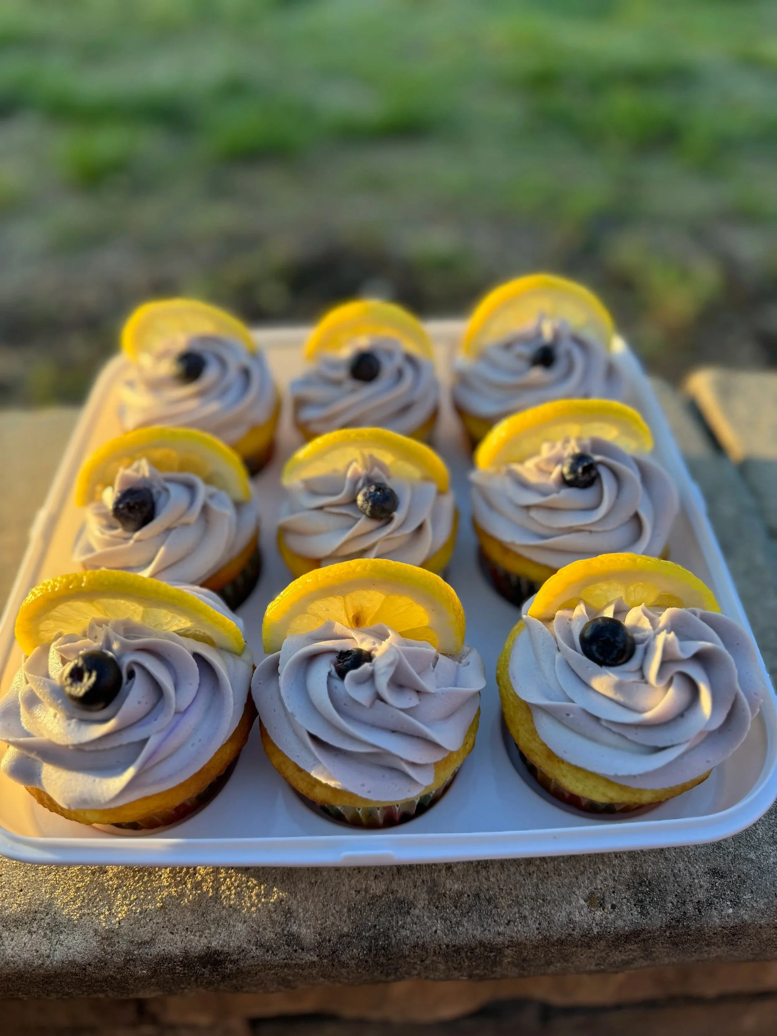 Lemon Blueberry Cupcake