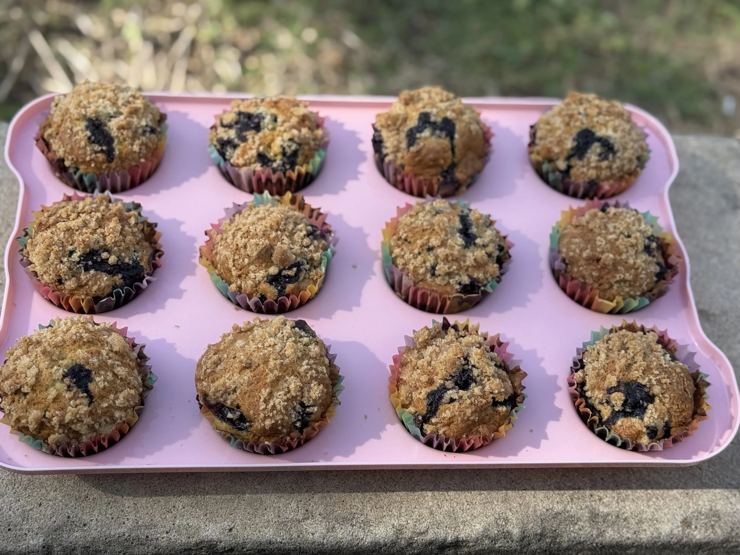Blueberry Muffins 4 Pack