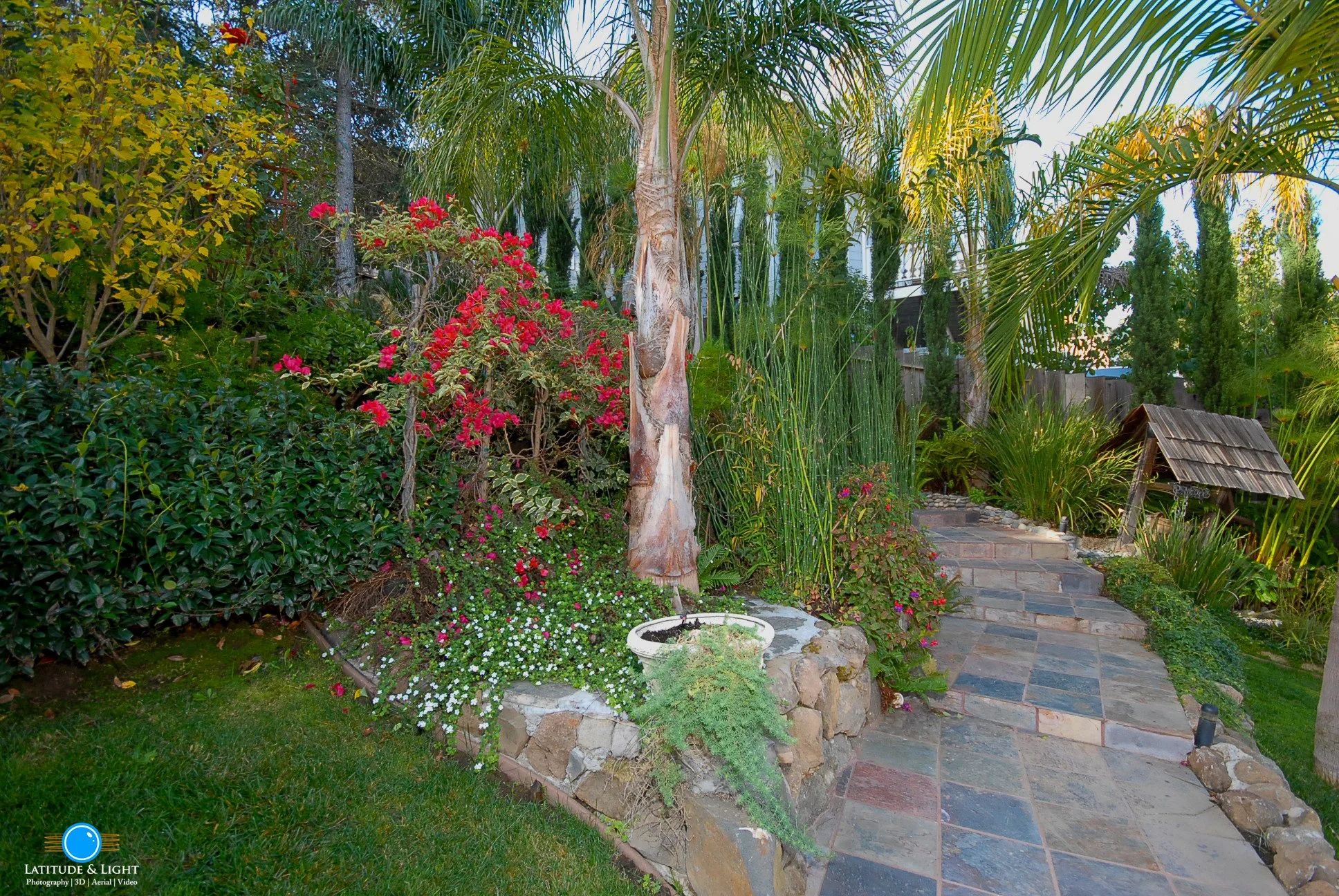 A lush Los Gatos backyard garden with a stone pathway, various flowering plants, green shrubs, tall palm trees, and a small wooden well structure.