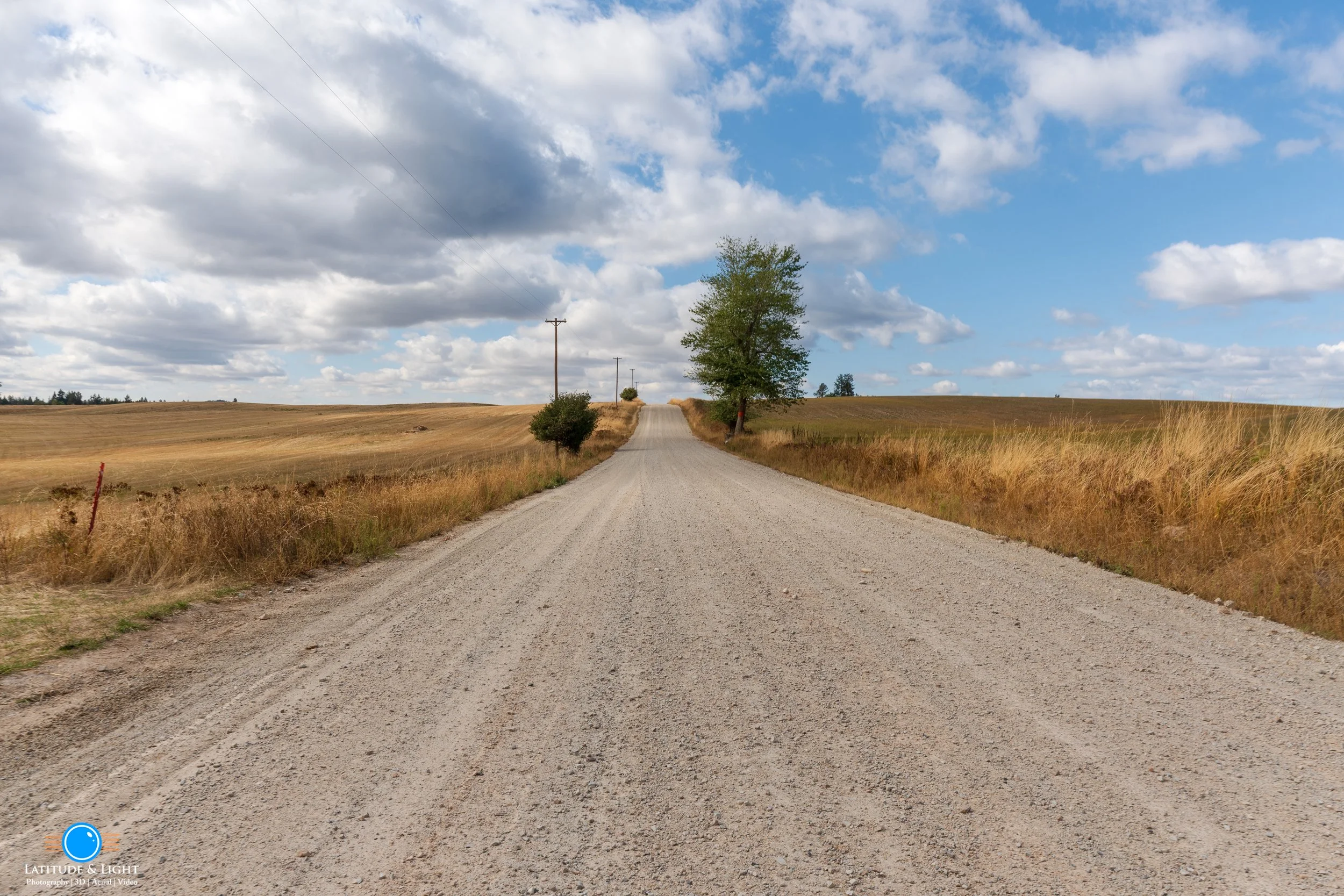 Harrison, Idaho: A rural dirt road stretching into the distance through open fields with a few trees, under a partly cloudy sky.