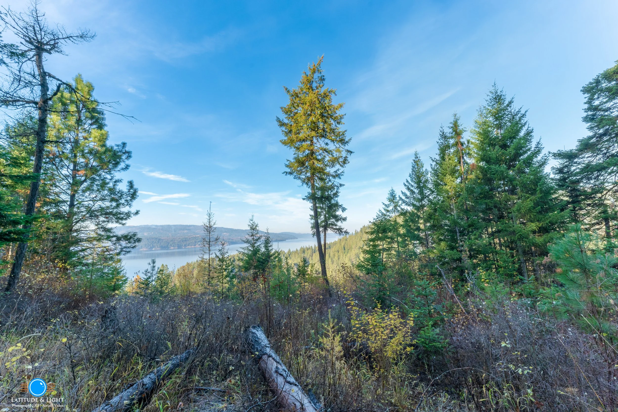 Harrison, Idaho land: A scenic view of a forest near a body of water with green trees, blue sky, and distant hills.