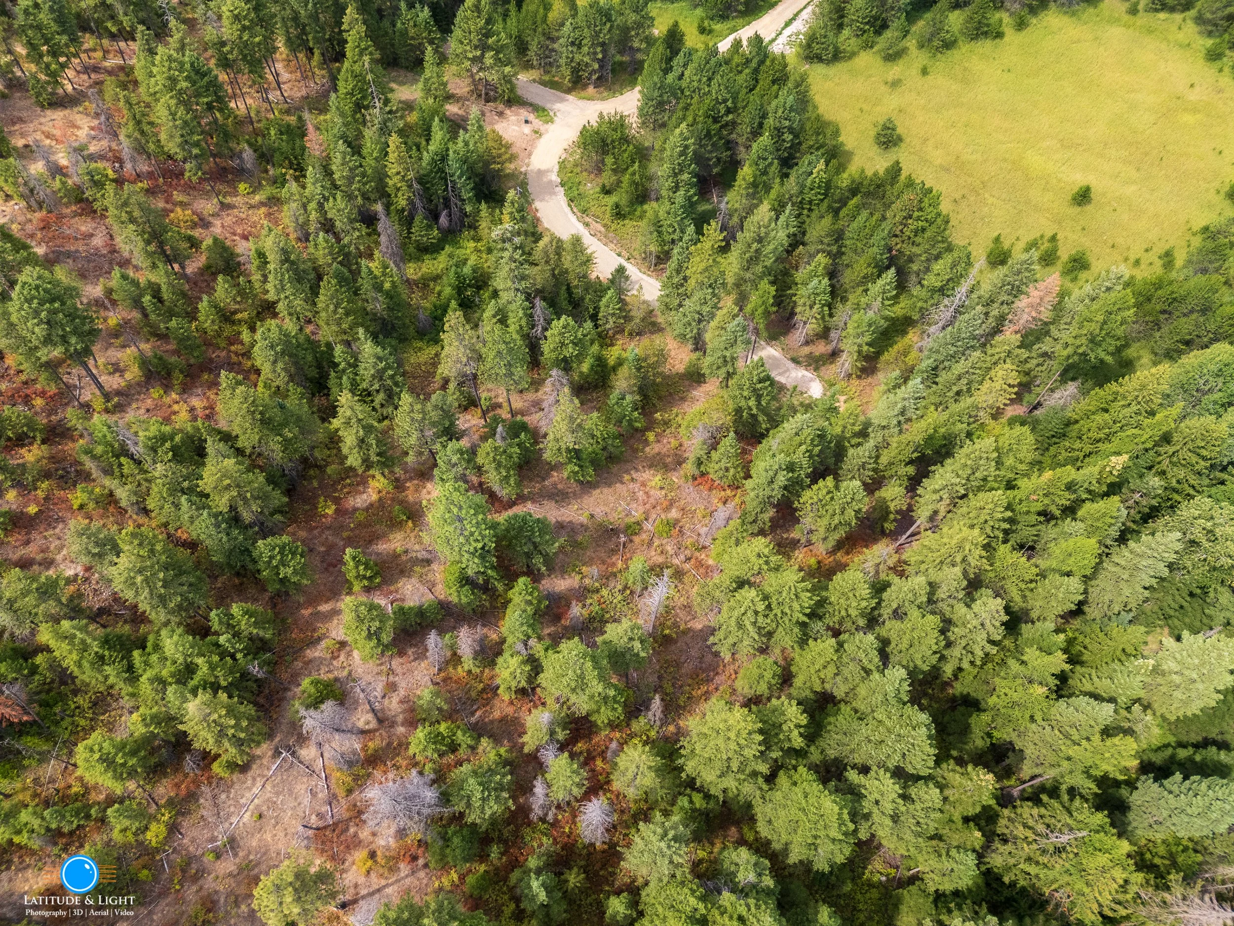 Aerial view of a forest with trees, a winding dirt path, and a clearing with grass.