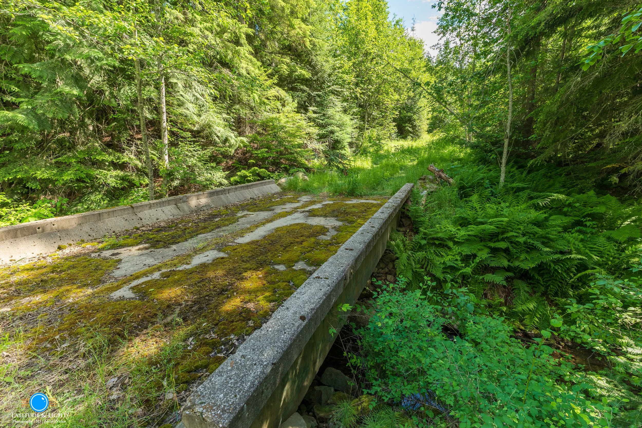 Harrison, Idaho land: A moss-covered concrete bridge in a lush green forest with tall trees and dense foliage, over a small stream.
