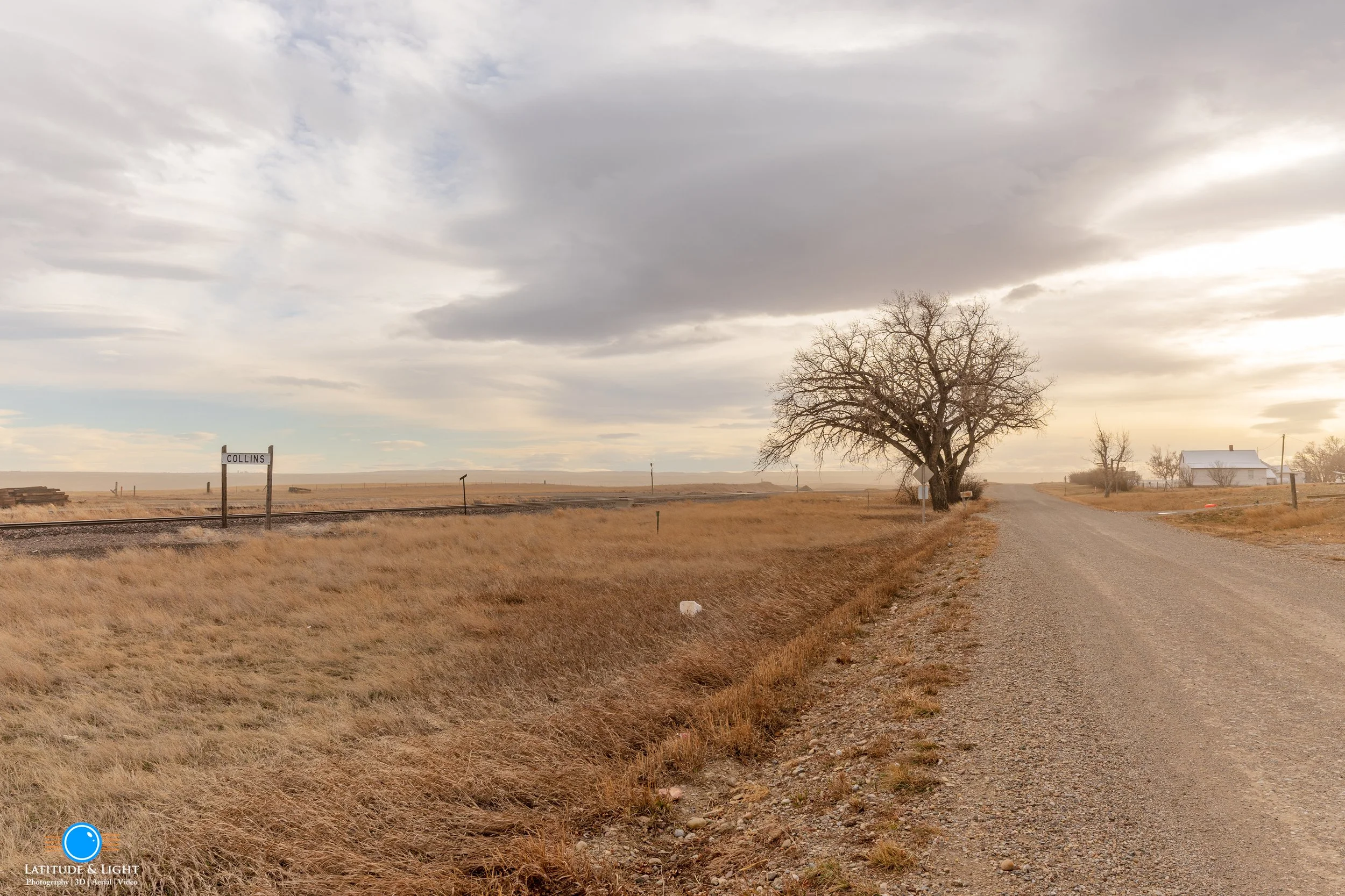 A rural scene with a dirt road, a large leafless tree, a white building in the distance, along railroad tracks in Collins, Montana.. The landscape is flat with dry grass, under a cloudy sky.