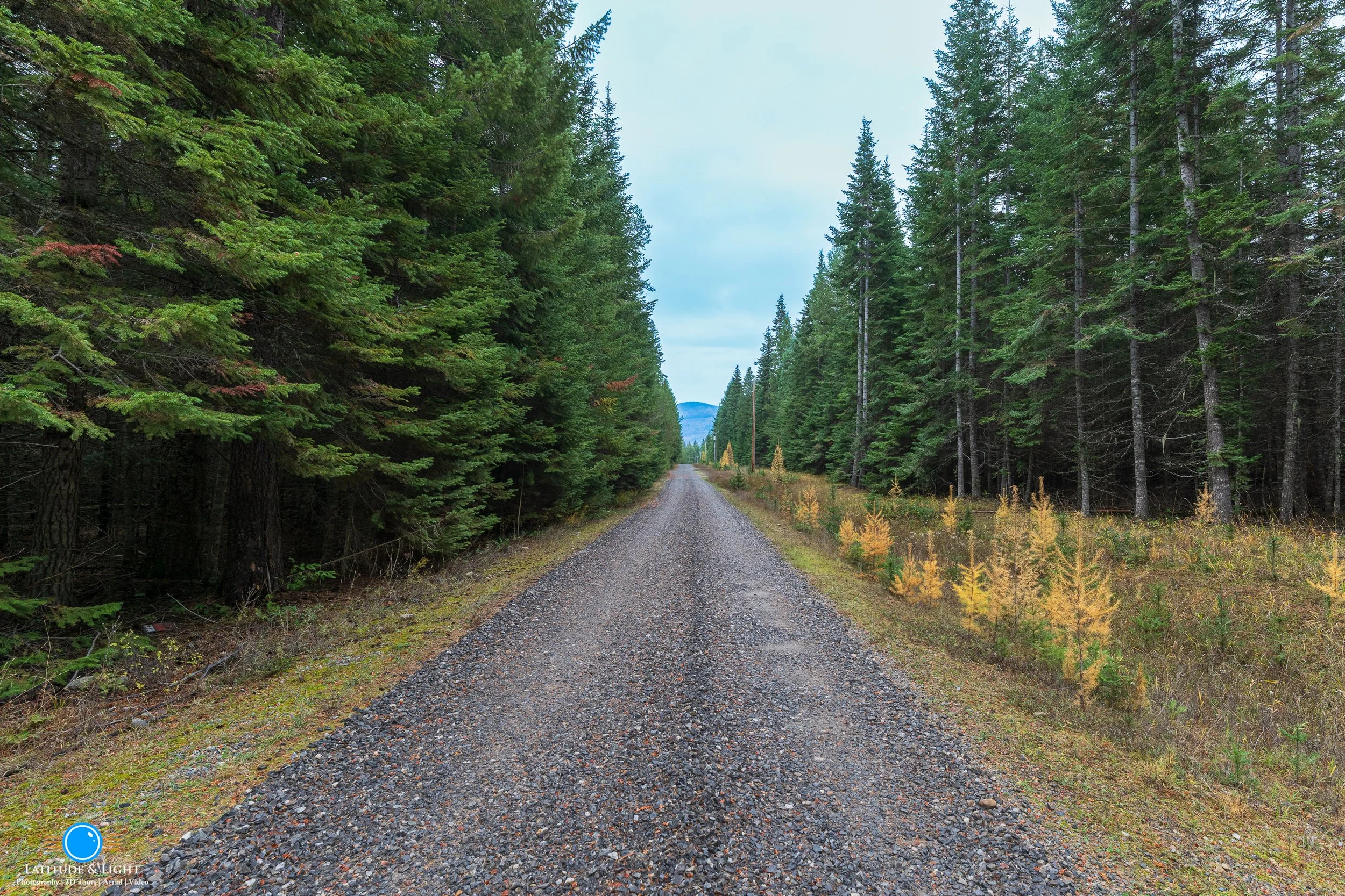 A gravel road in Athol, Idaho stretching into the distance through a dense forest with green conifer trees on either side and a mountain in the background under a cloudy sky.