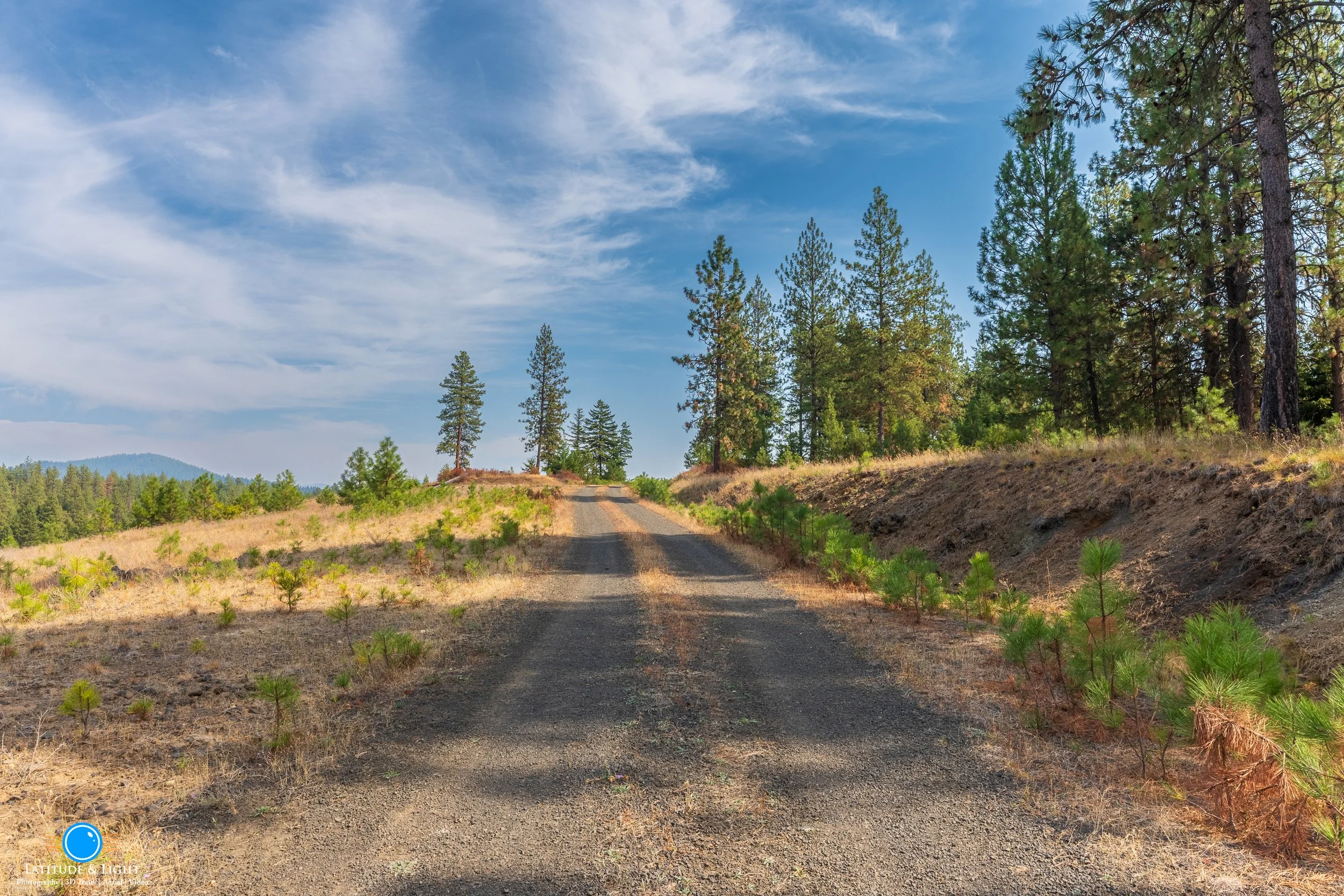 Dirt road on Harrison, Idaho land  running through a forested area with tall pine trees on both sides, under a partly cloudy sky.